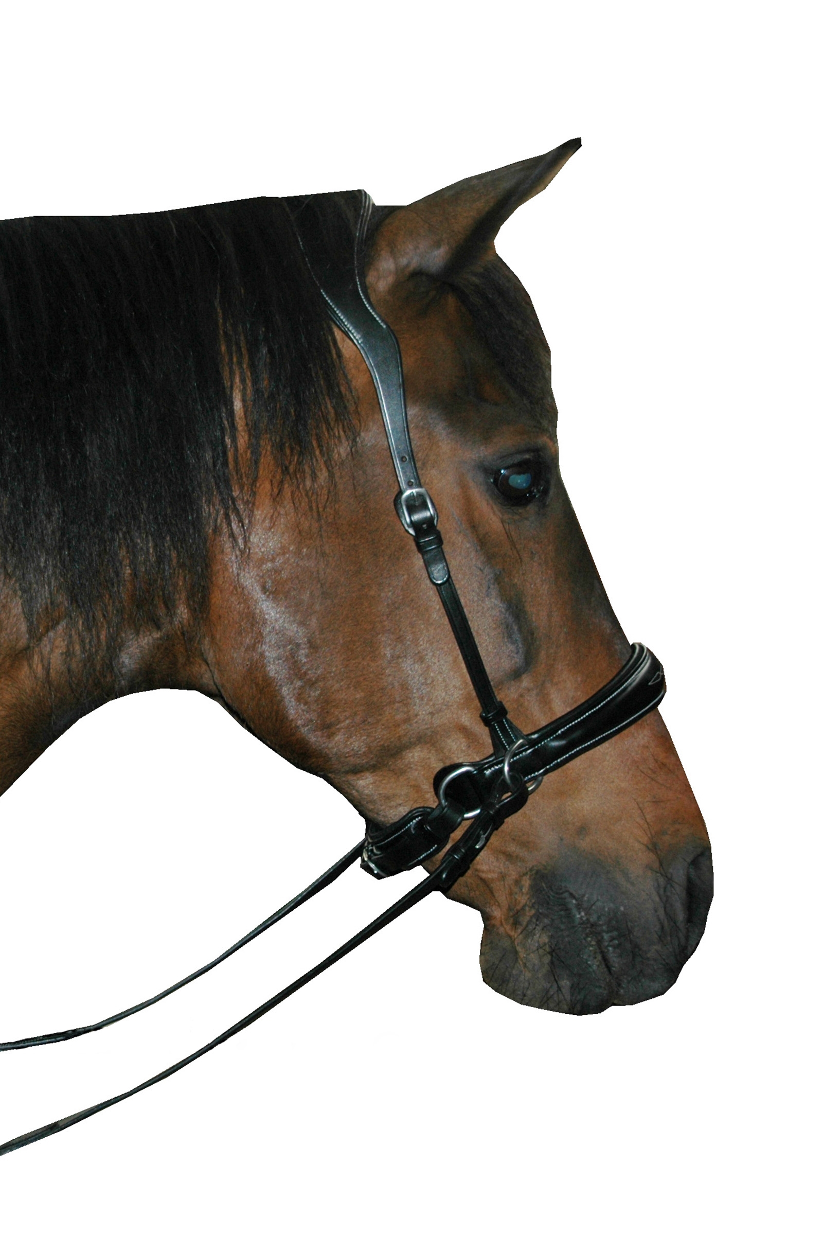 F.R.A. Freedom Riding Articles Alizée Mistral Bitless Bridle With Reins (System 3)