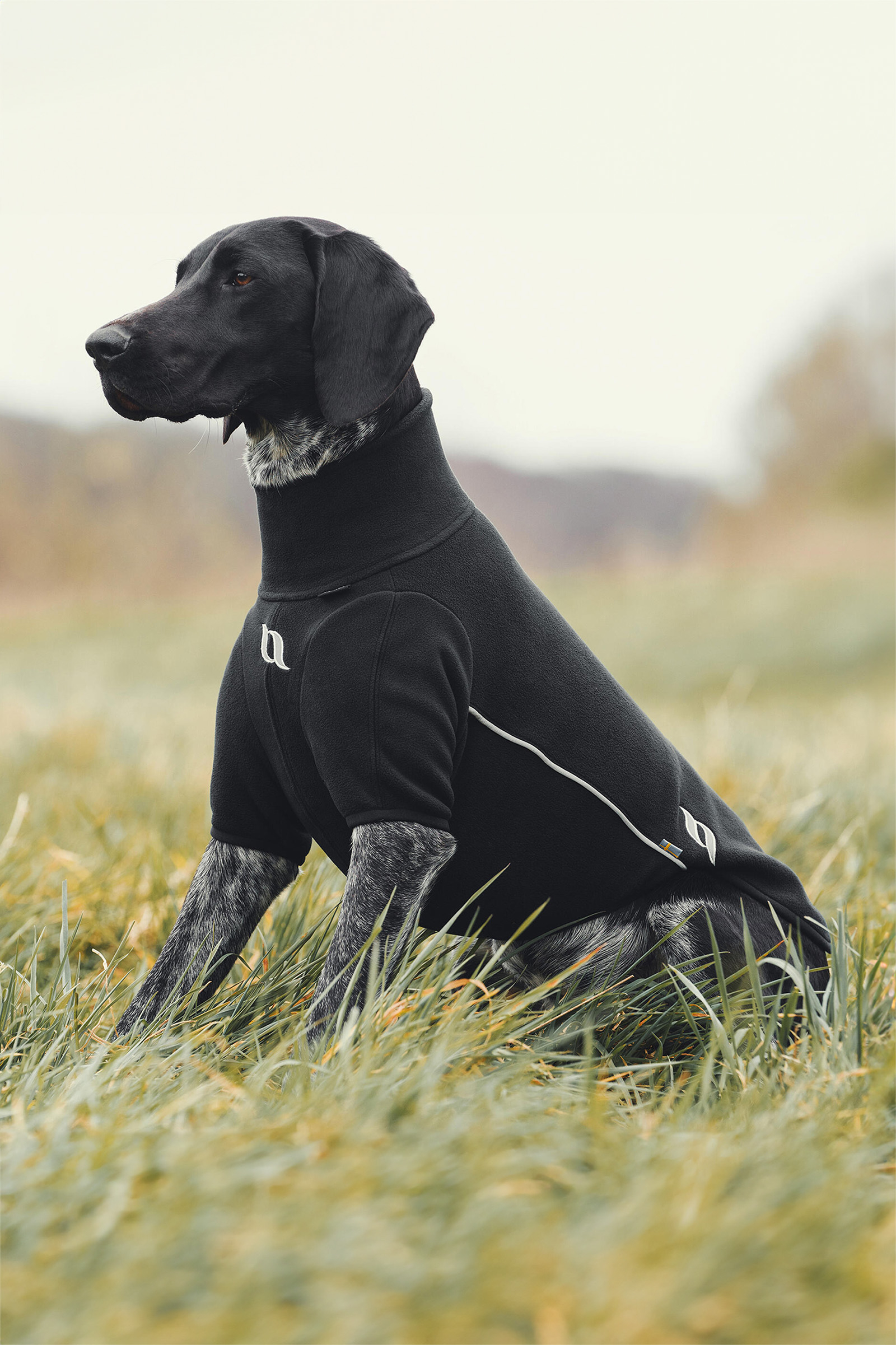 Back on Track Cassie All-Weather Jumper, 65-70cm