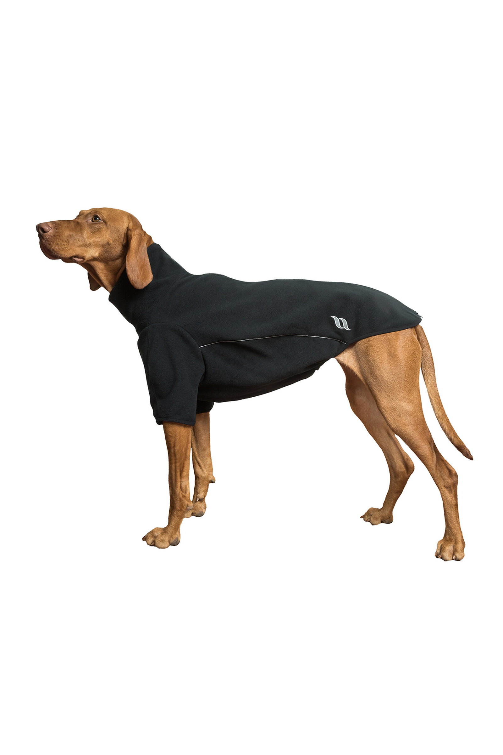 Back on Track Cassie All-Weather Jumper, 45-50cm