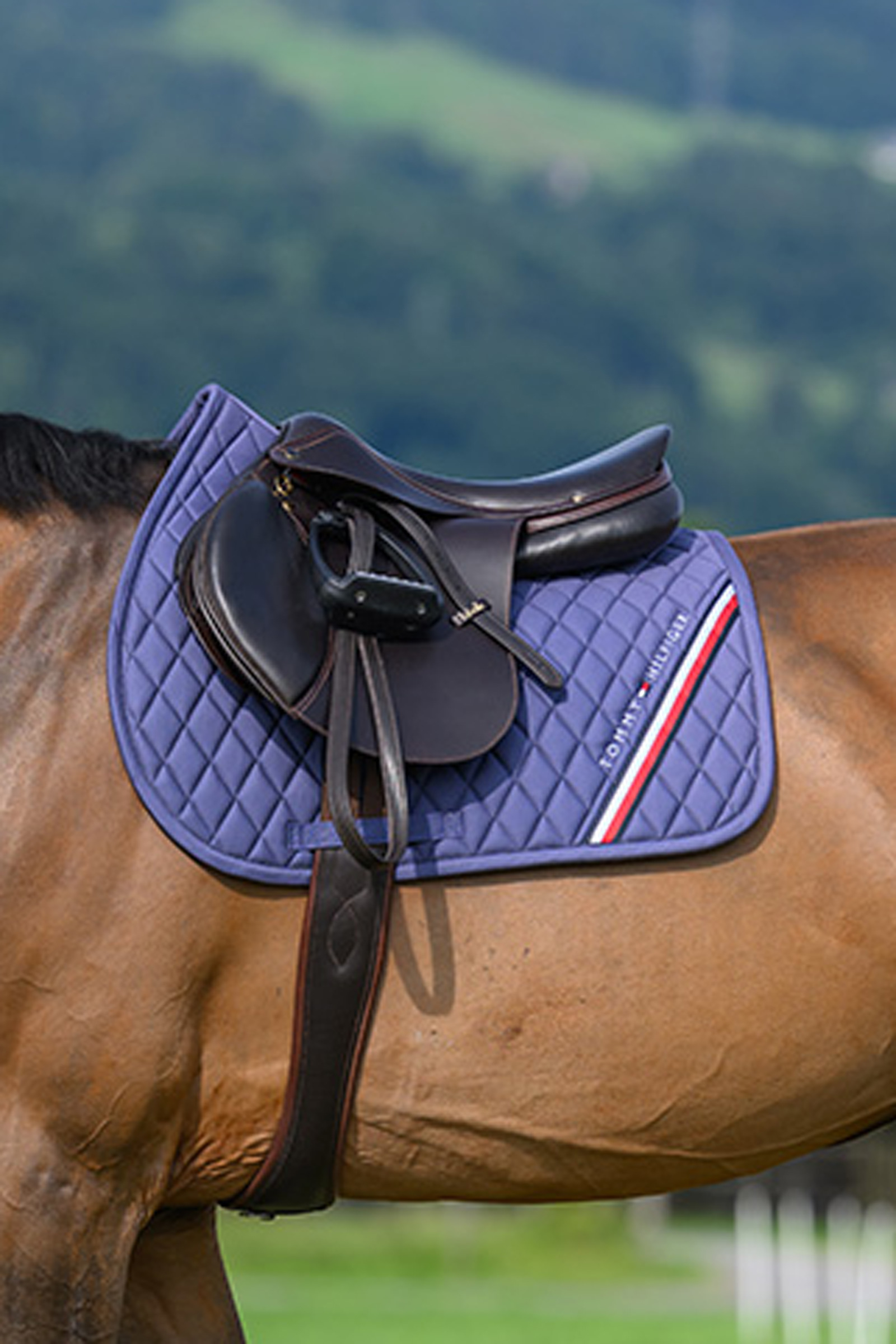 Tommy Hilfiger Equestrian Stanford Jumping Saddlepad