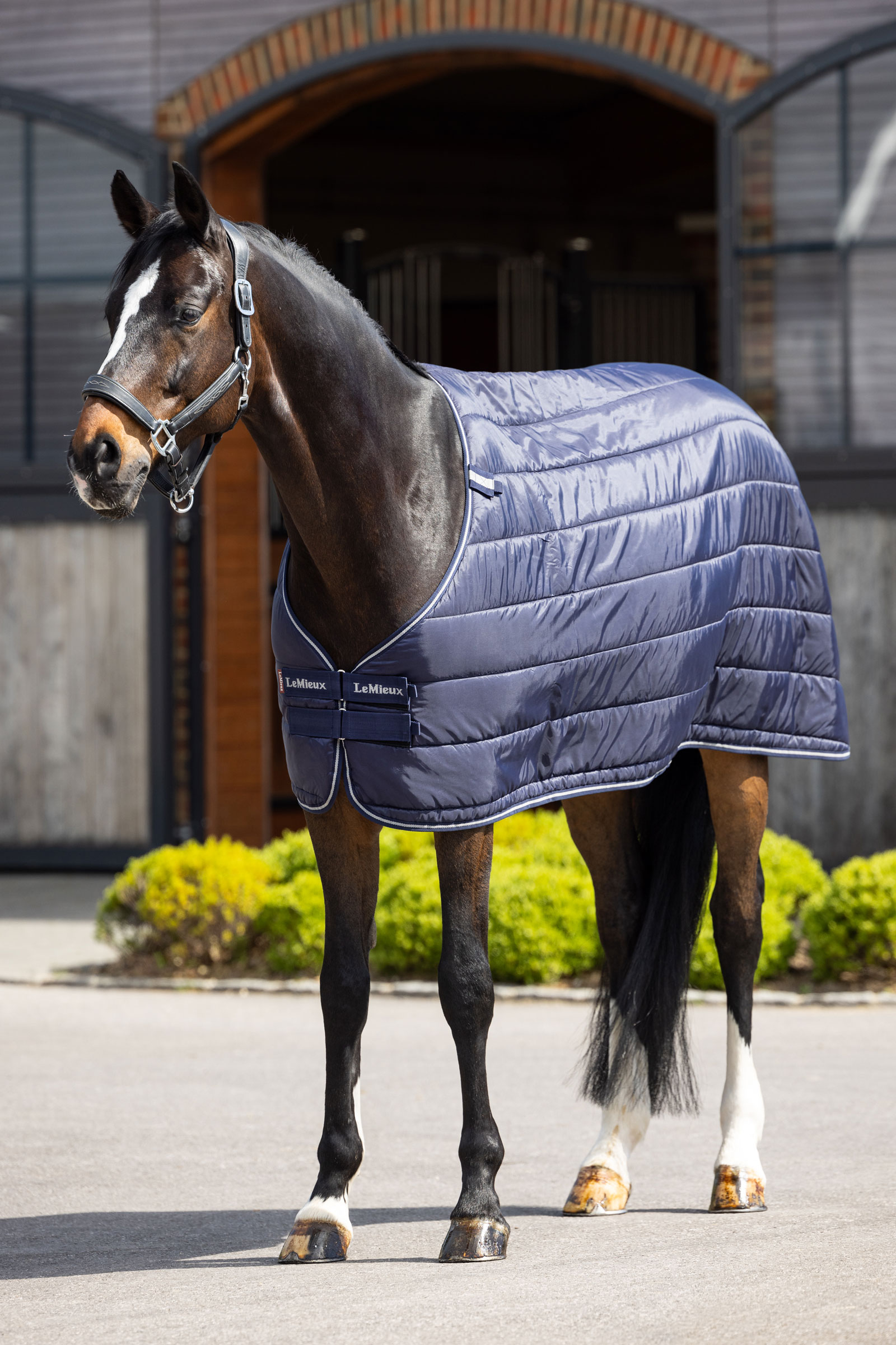 LeMieux Rug Liner, 200g