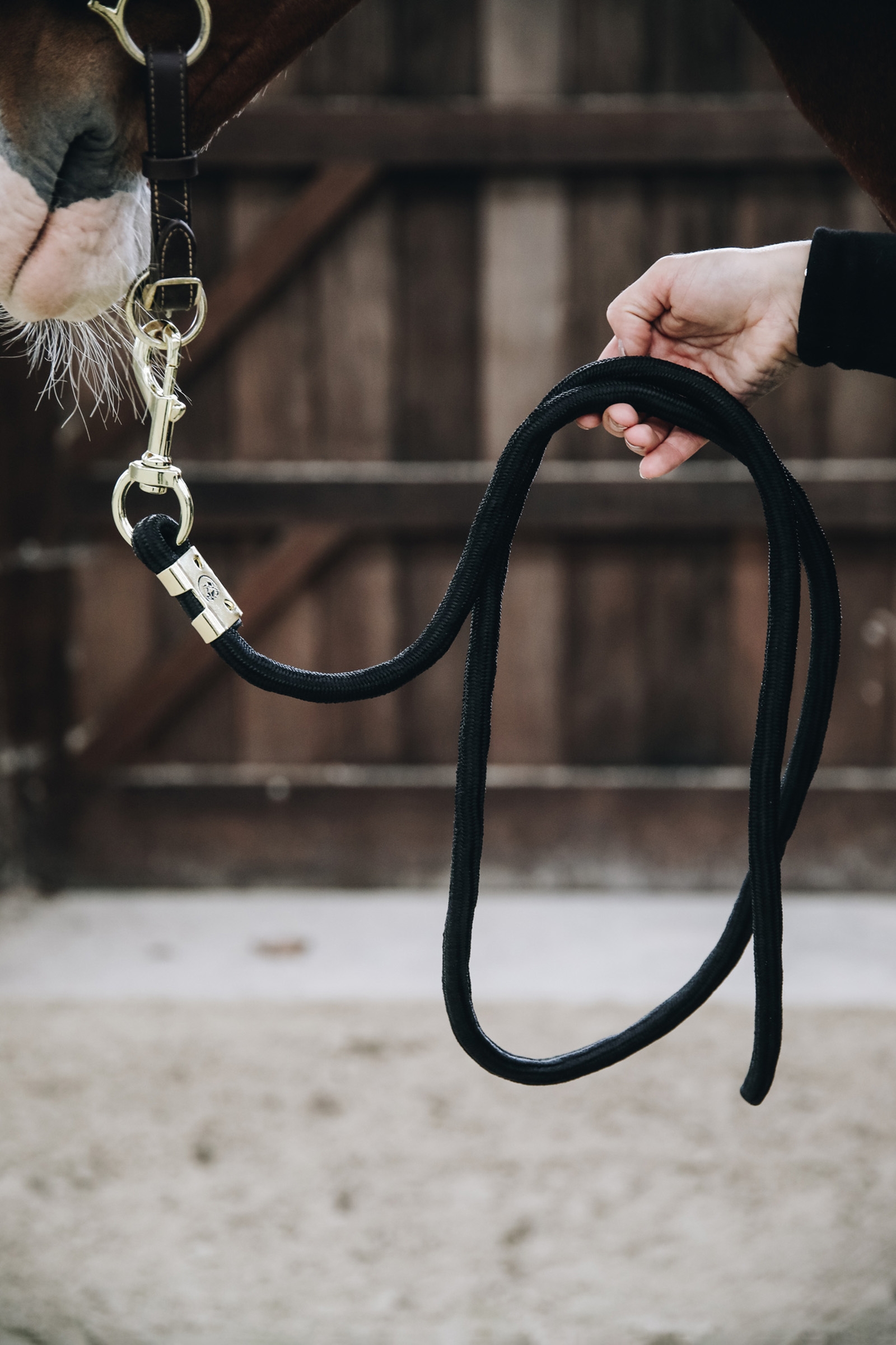 Kentucky Horsewear Basic Lead Rope 2m