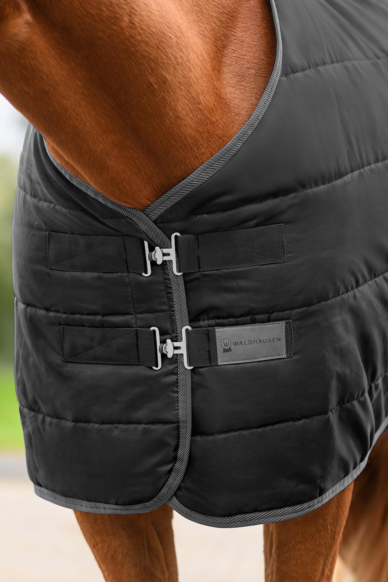 Waldhausen ECONOMIC Stable Rug, 100g