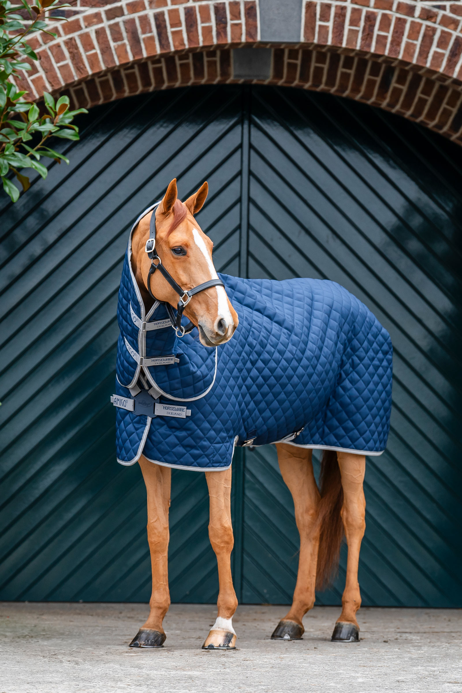 Horseware Amigo Quilted Stable Plus Rug, 200 g