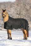 Waldhausen Scandic Turnout Rug With High Neck, 200g