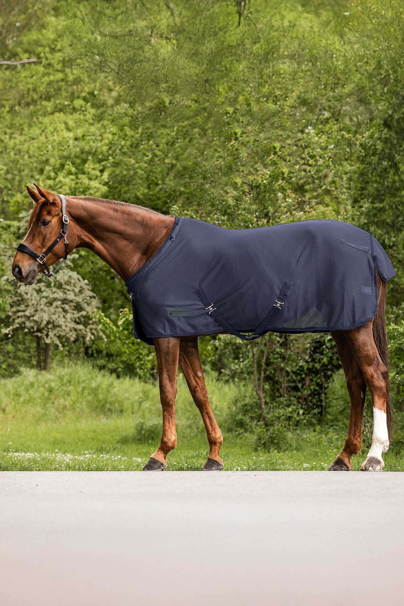 Waldhausen Comfort Fly Rug
