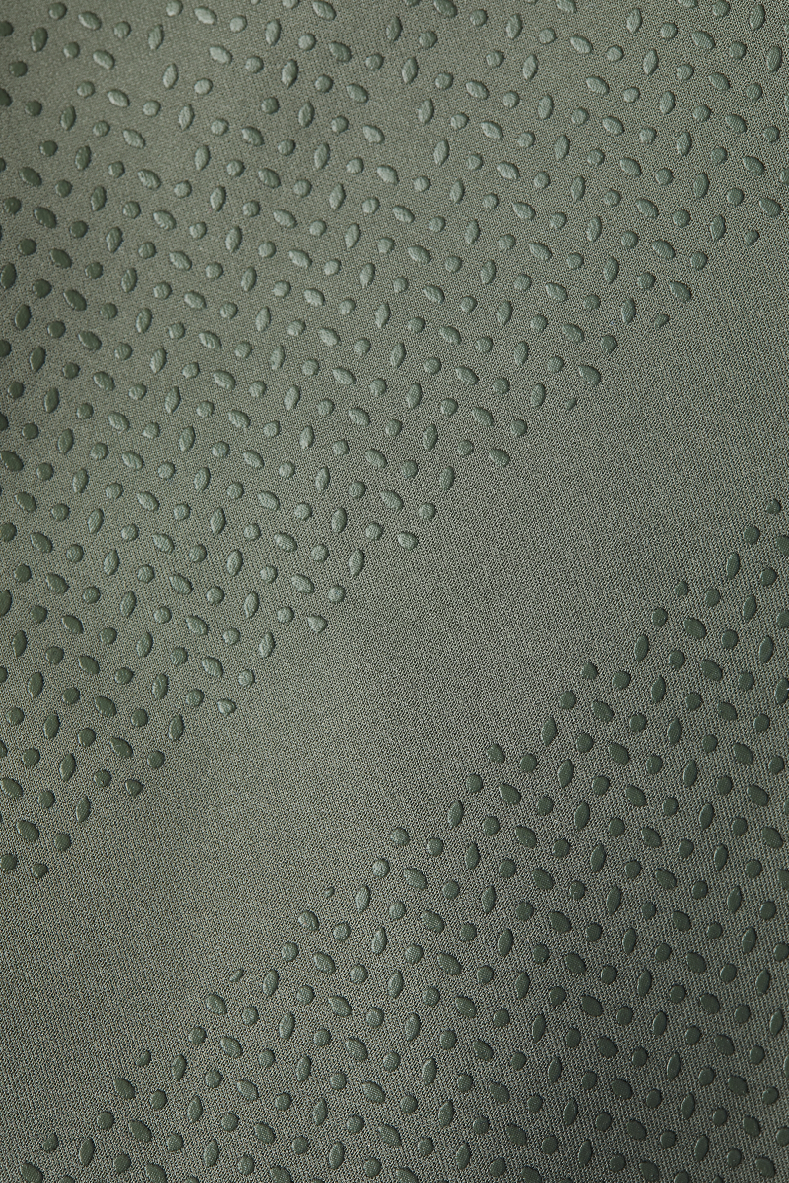 B Vertigo Caitlin Women's Full Seat Riding Tights with High Waist