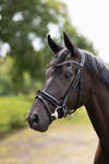 Horze Clermont Anatomic Bridle