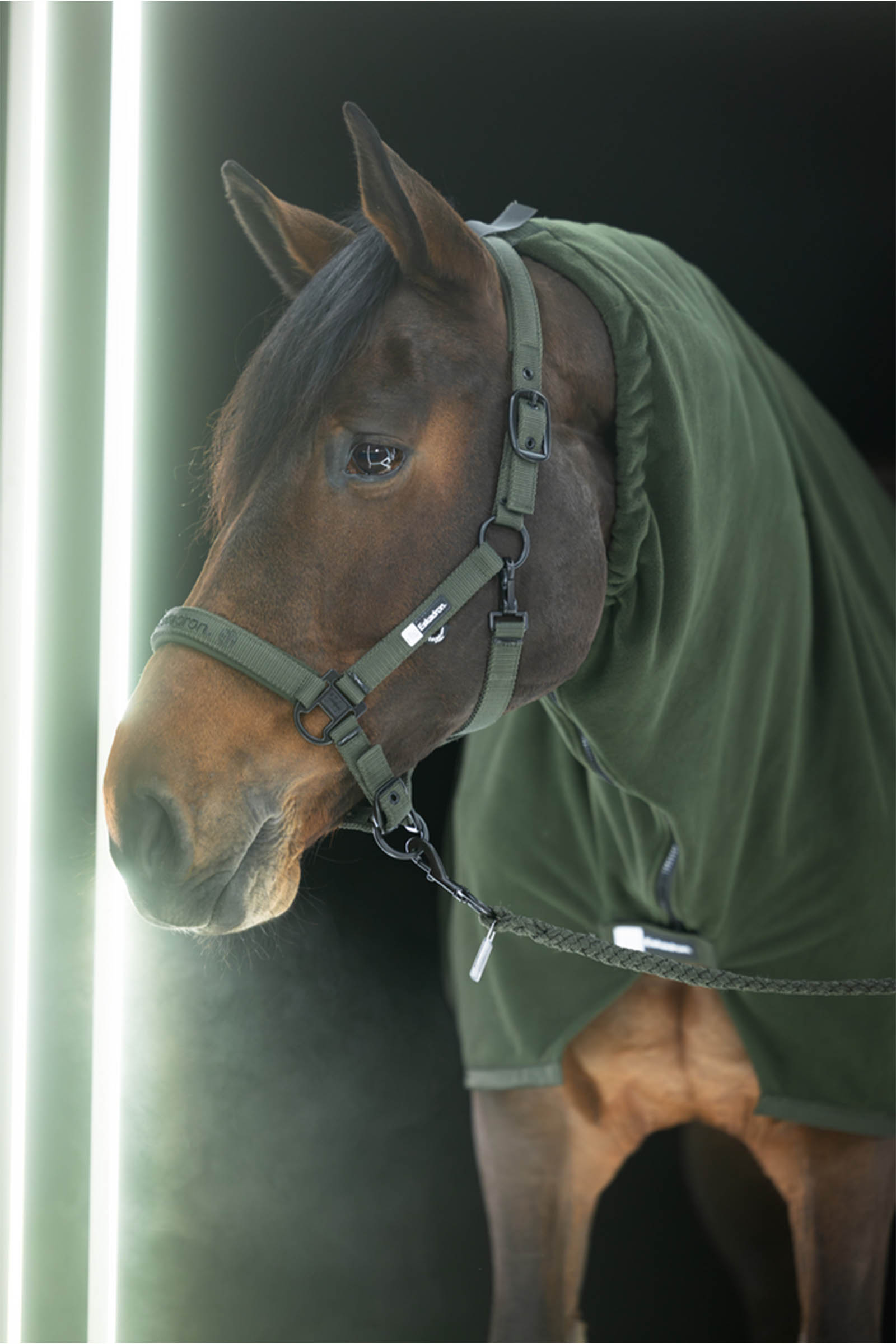 Eskadron Dynamics AW25 Double Pin Headcollar