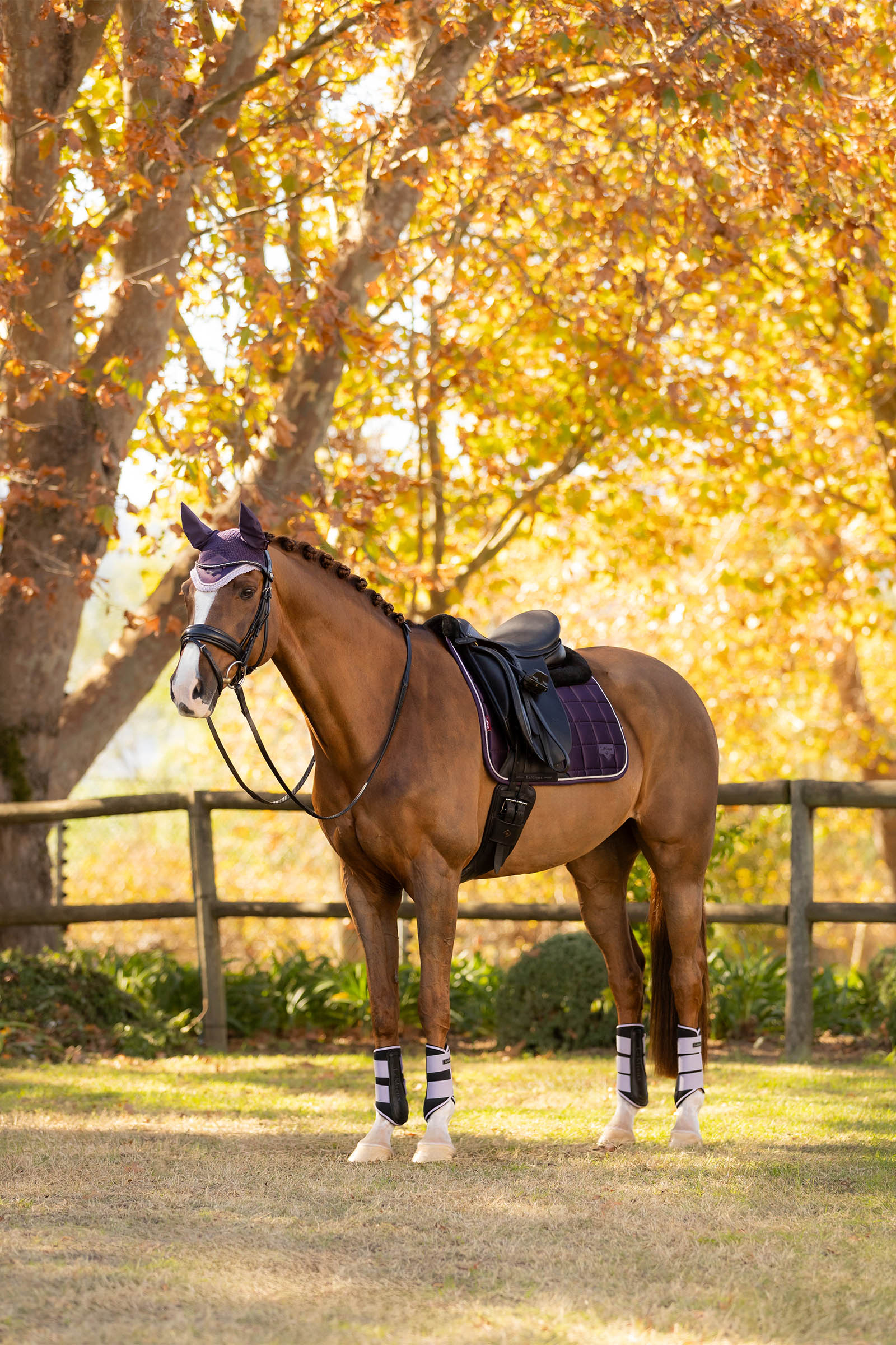 LeMieux Merino+ Loire Classic Dressage Saddle Pad