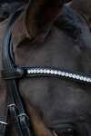 Schockem&ouml;hle Sports Charleston Bridle