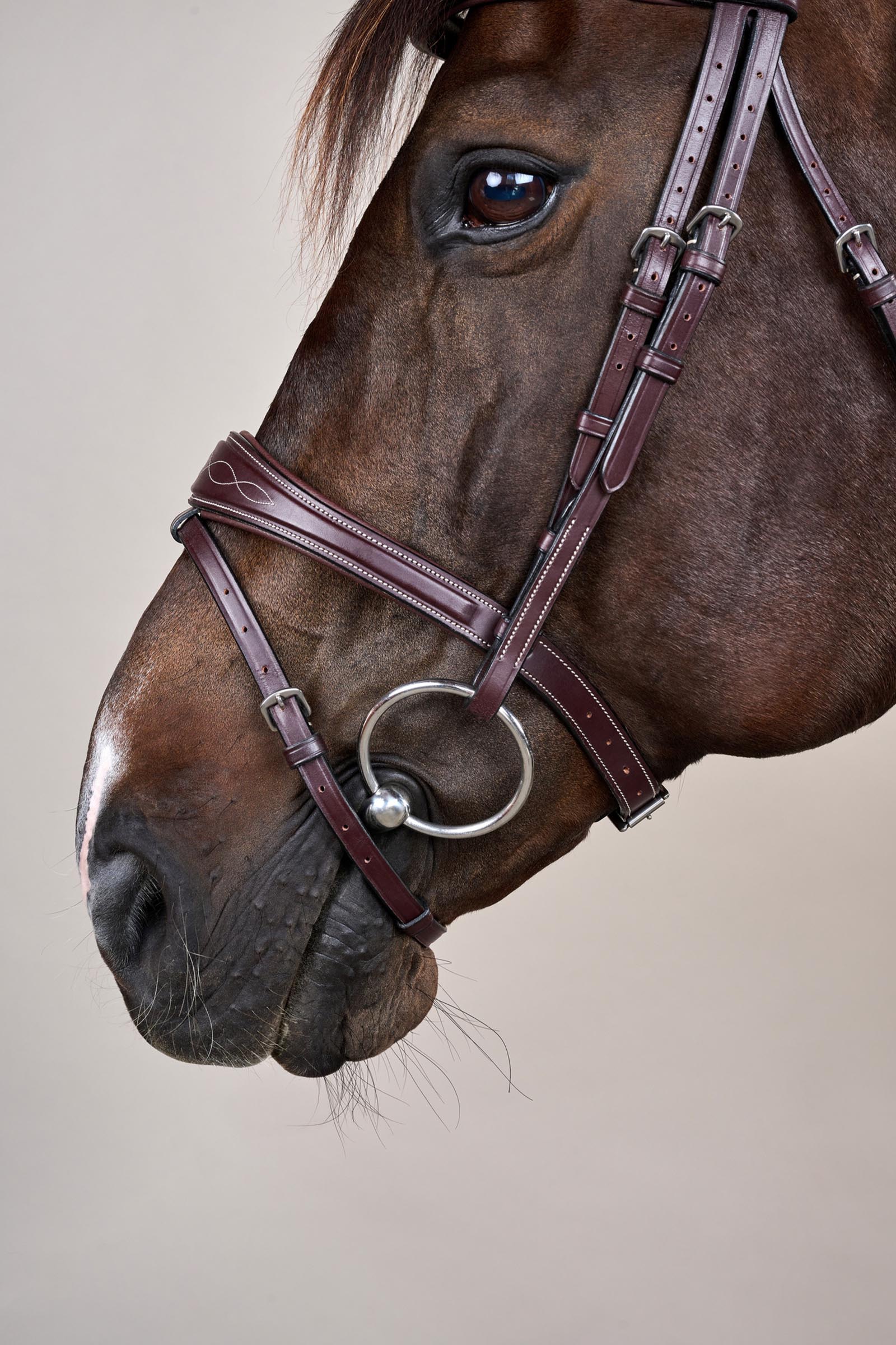 Dy'on US-Collection Anatomic Flash Noseband Bridle