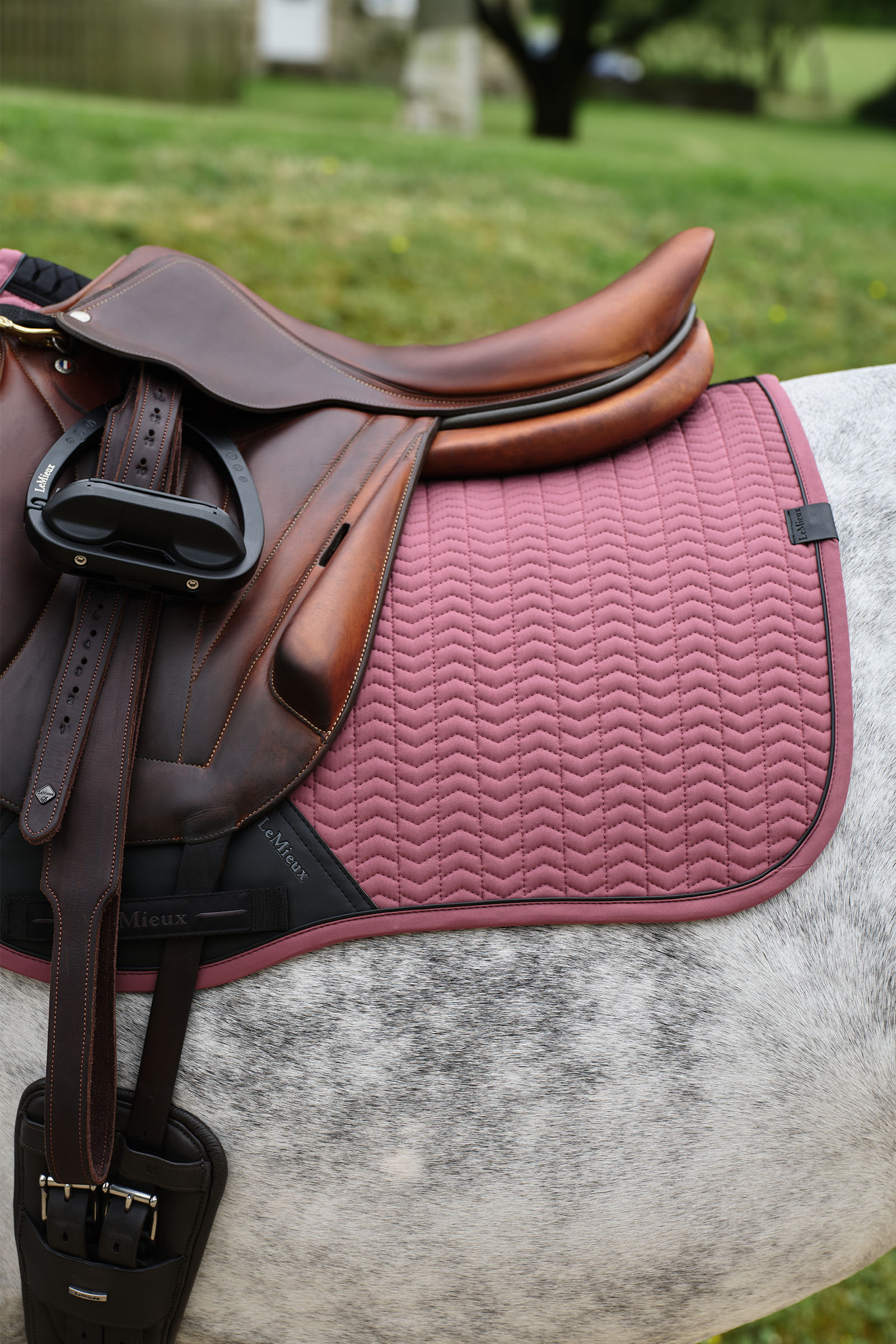 LeMieux Essence Eurojump Jumping Saddle Pad