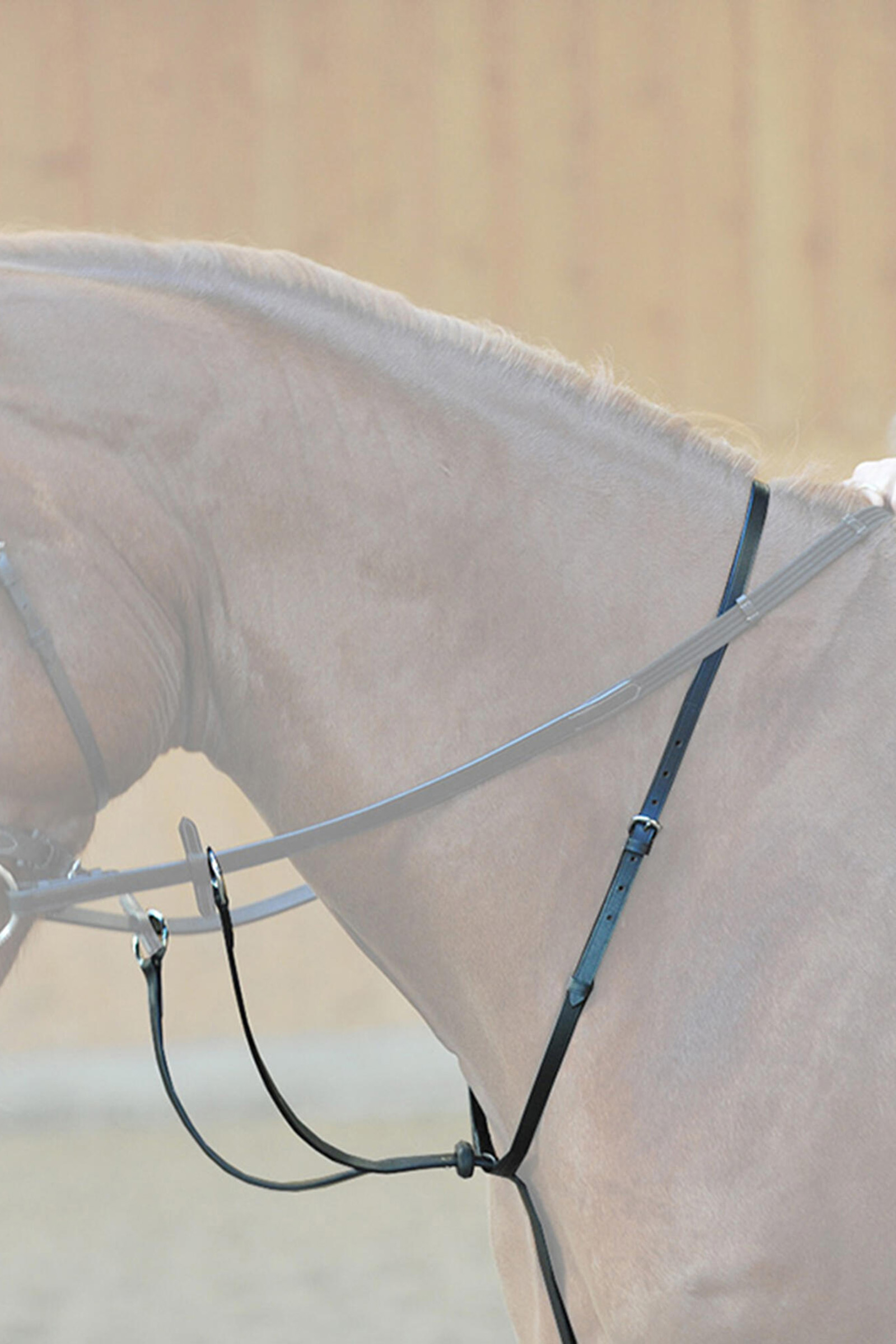 Kavalkade Ecoline Martingal with Stoppers