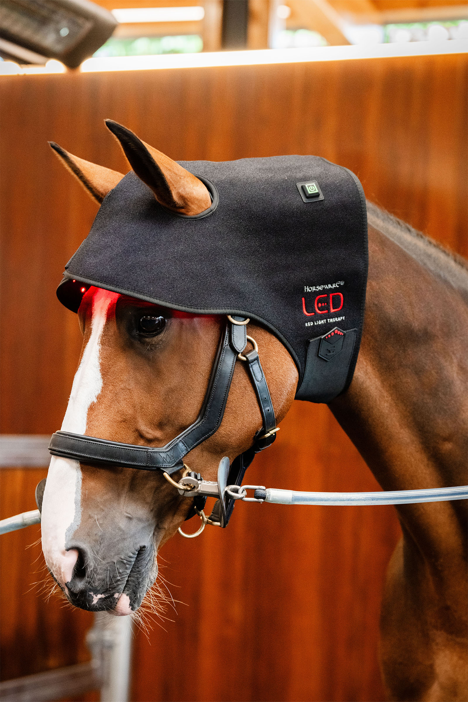 Horseware LED Red Light Therapy Poll Cap