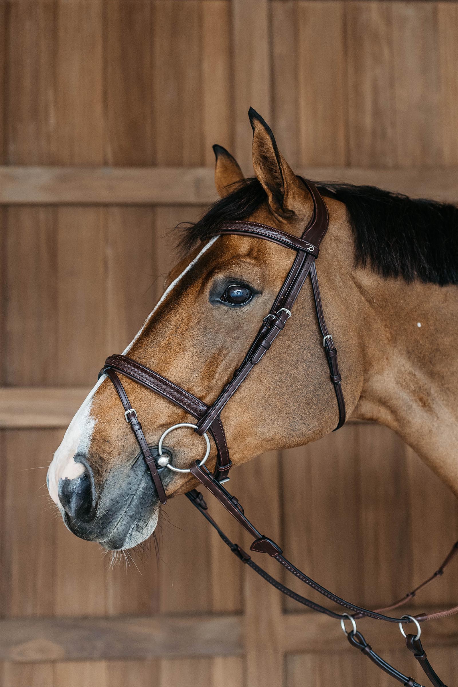 Dy'on New English Plaited Bridle With Flash Noseband 