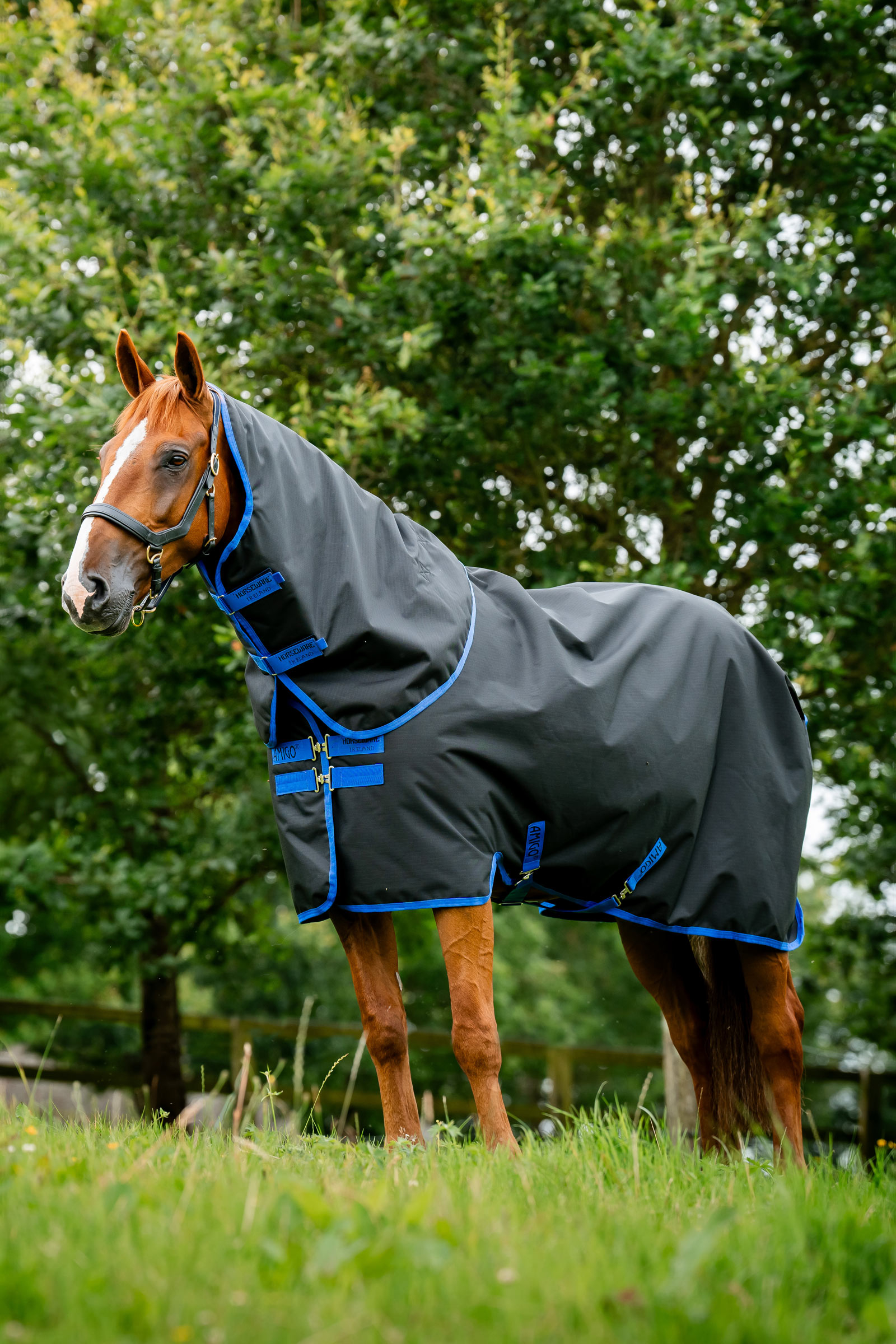 Horseware Amigo Ripstop 900D Plus Turnout Rug, 0 g