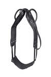 Waldhausen Vaulting & Lunging Surcingle