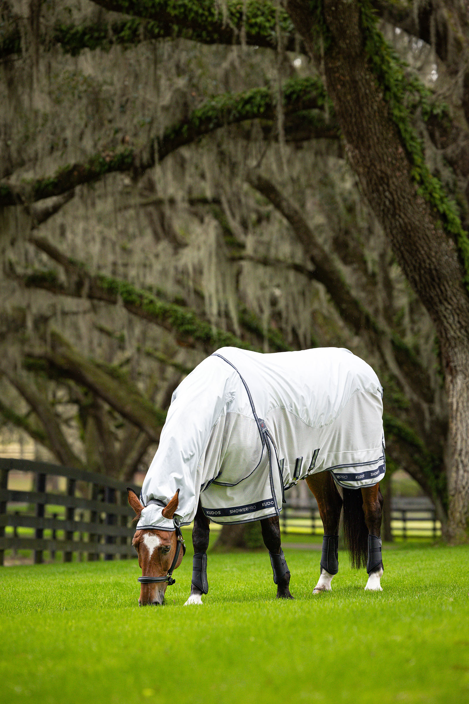 LeMieux Kudos Shower Pro Waterproof Fly Rug