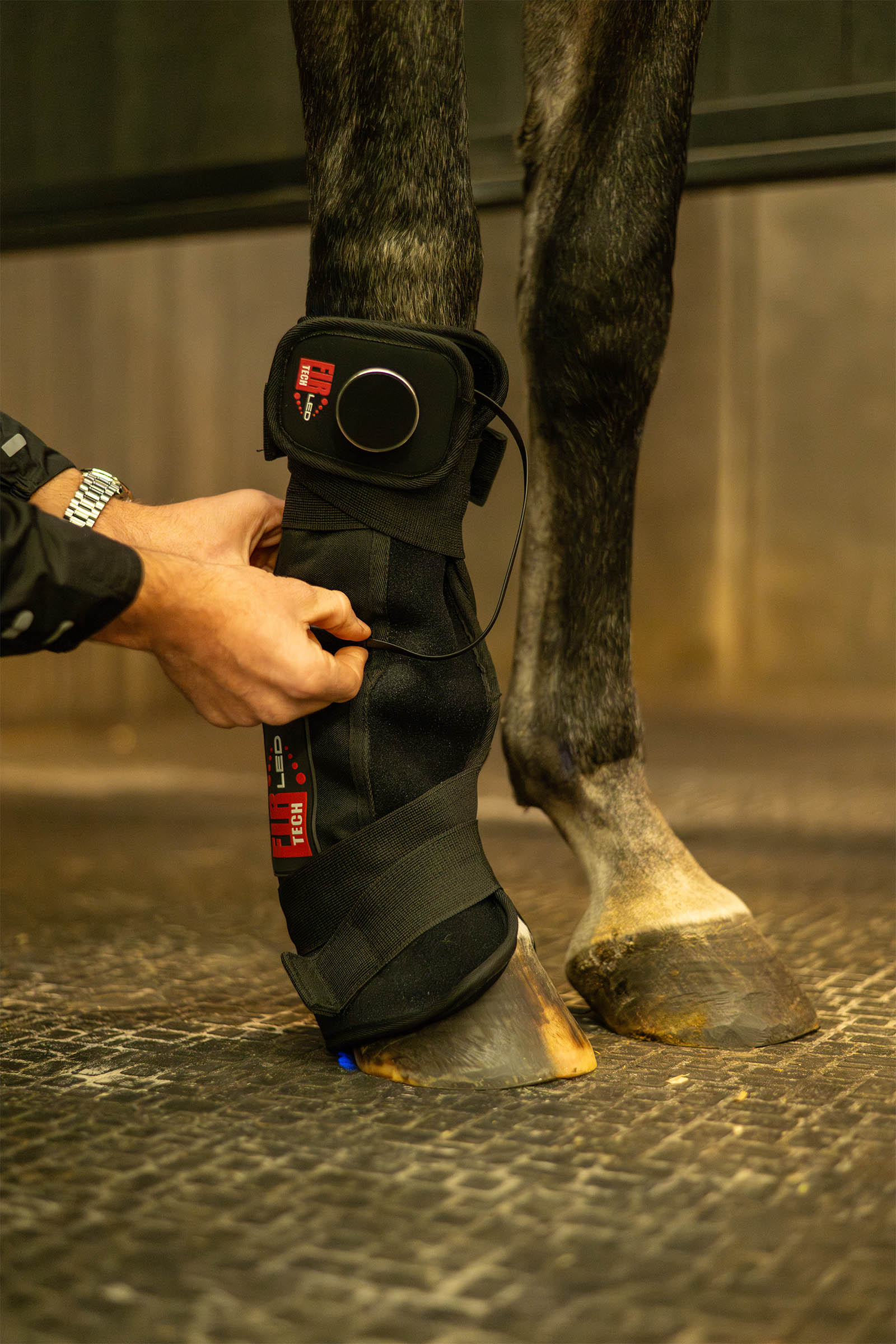 CATAGO FIR-Tech LED Therapy pad Q27