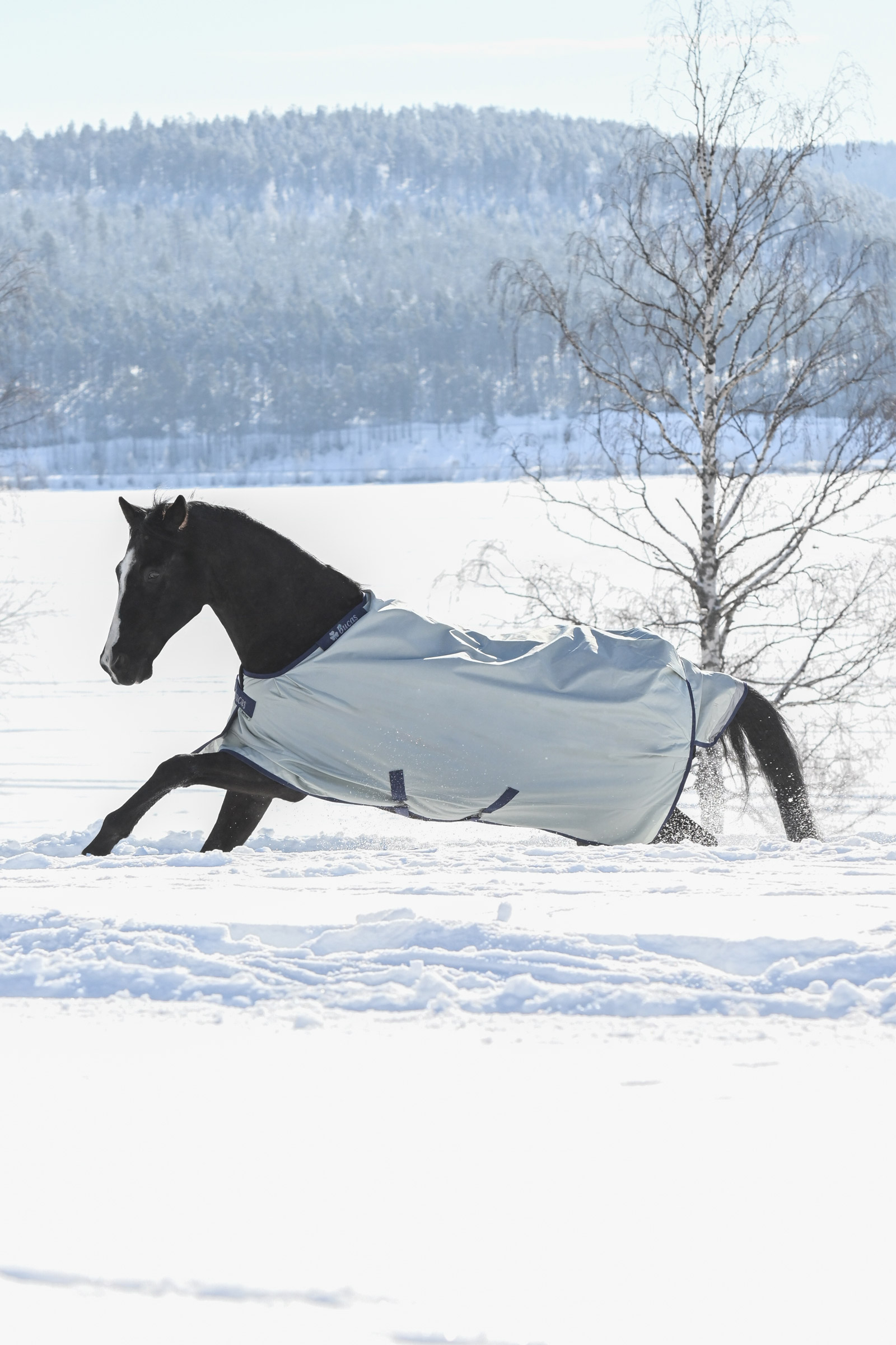 Bucas Power Extra Turnout Rug With Cooling Function, 300g