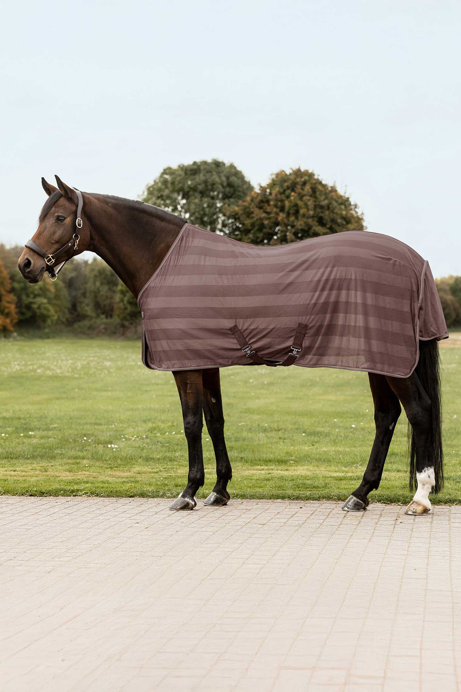 Mocca Waldhausen Economic Fly Rug
