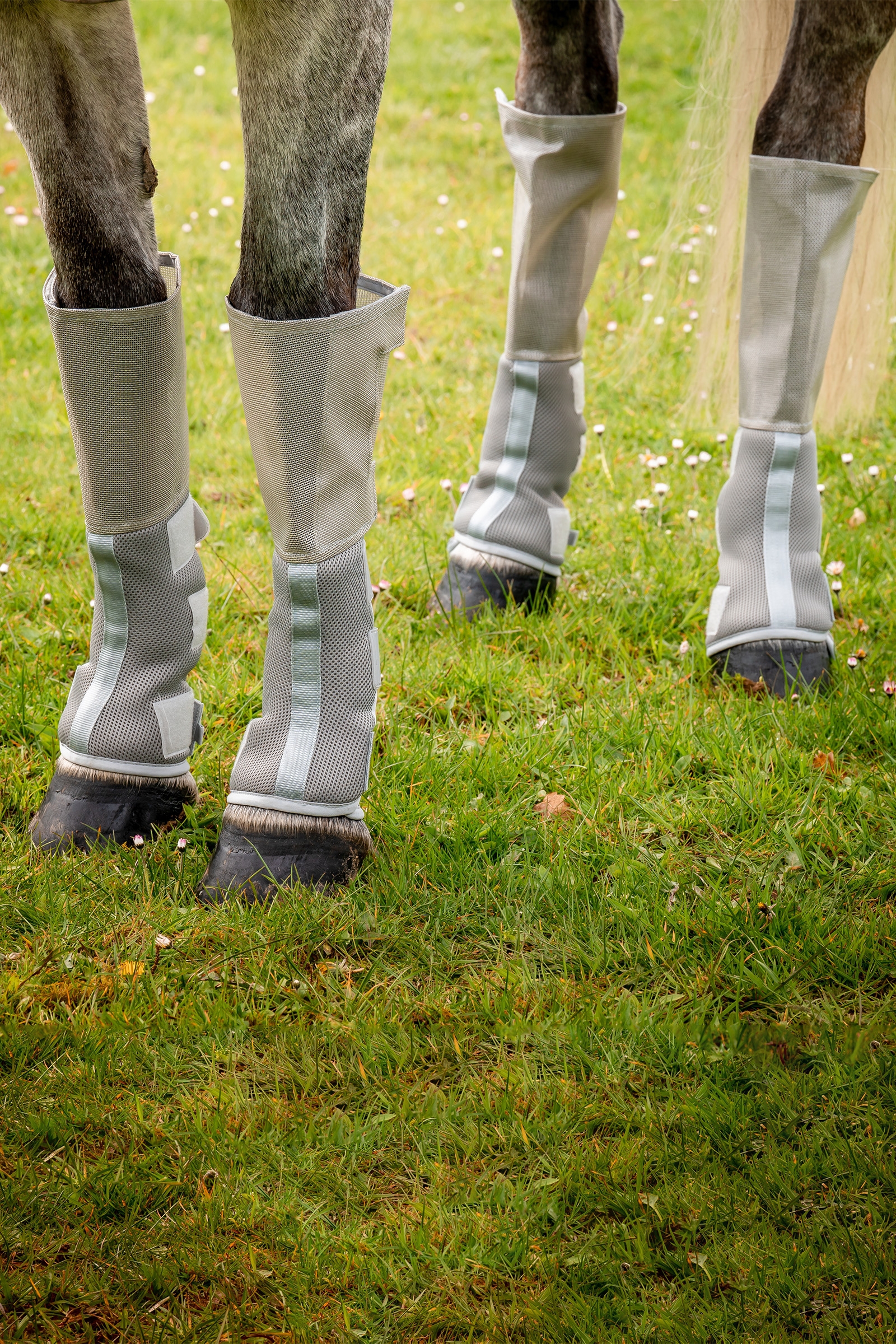 Horseware Rambo Tech-Fit Flyboot (Set of 4)