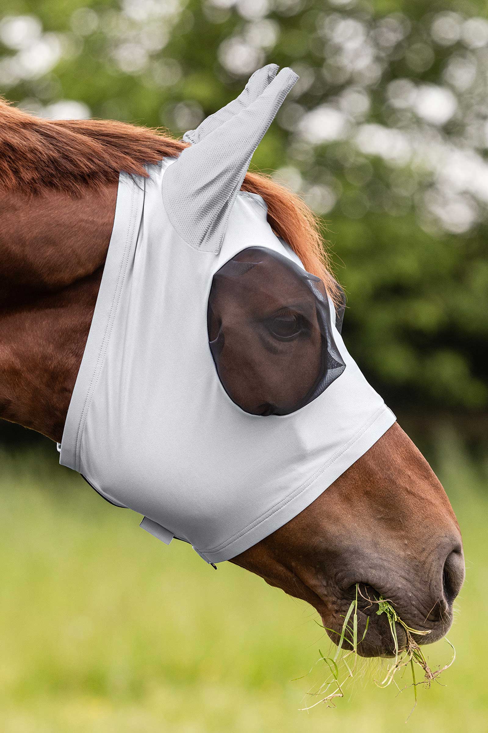 Waldhausen Puck Fly Mask With Zip and  UV-Protection