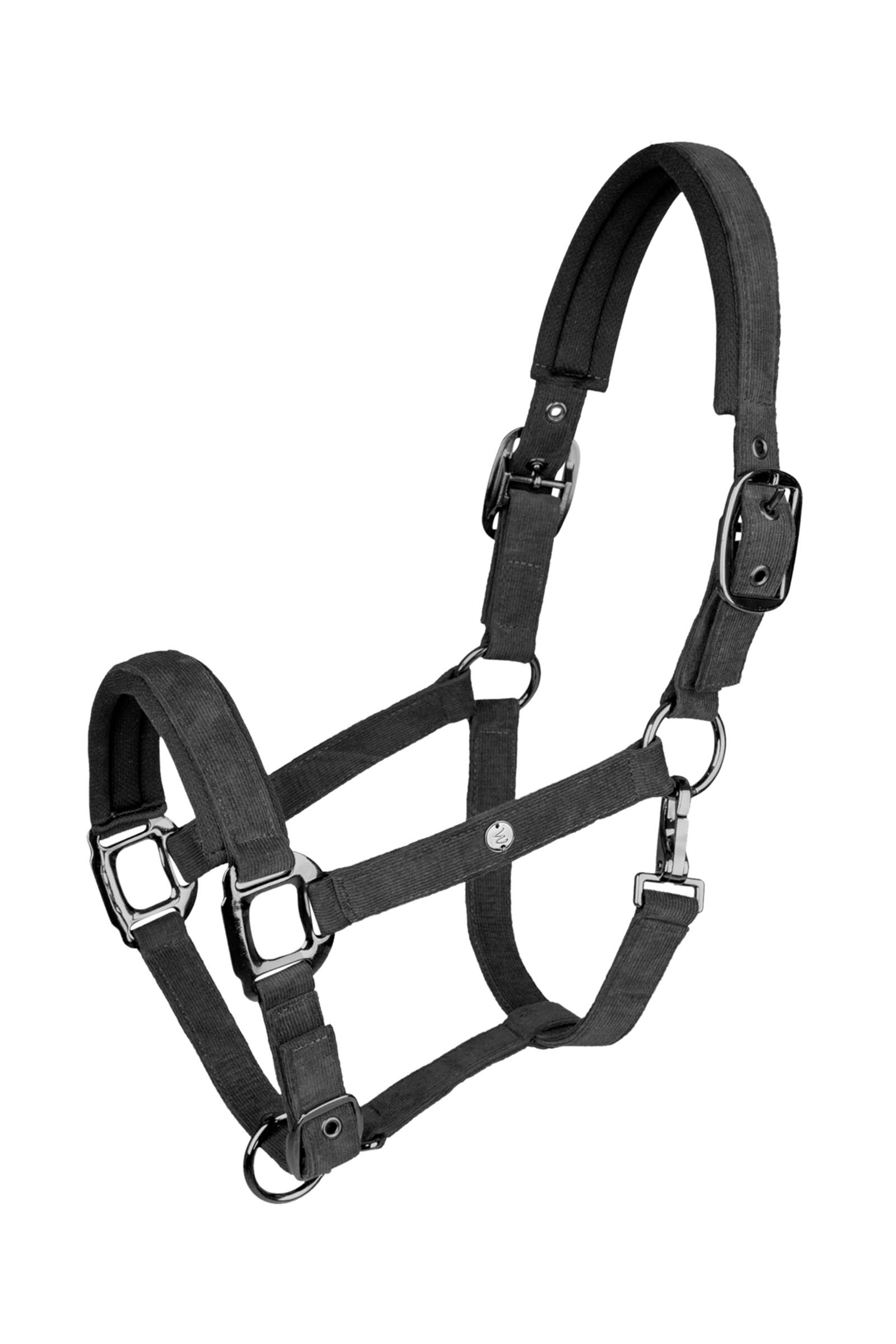 Waldhausen St. Gallen Halter 