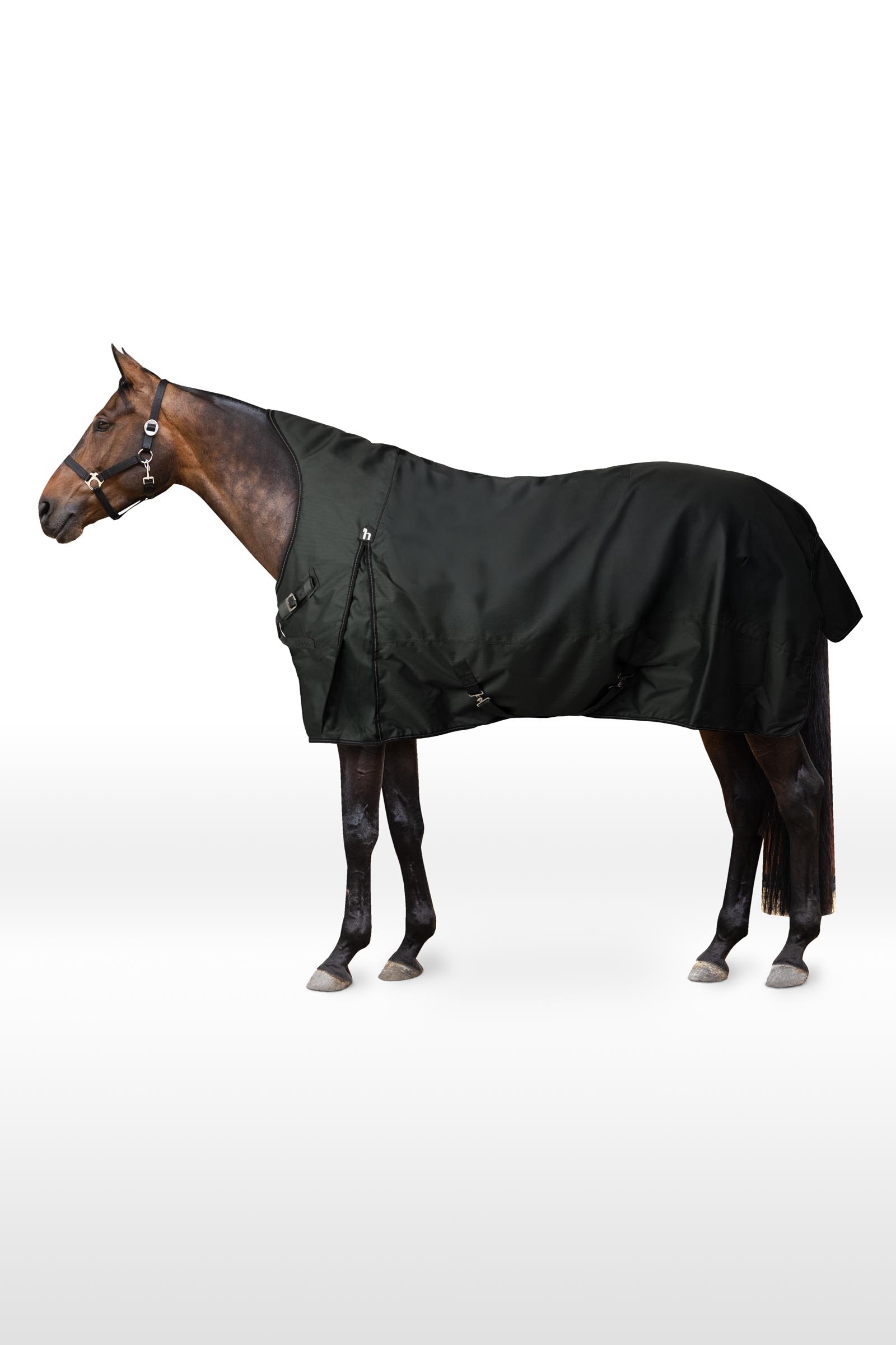 Horze Helsinki Turnout Rug With Half Neck, 50 g