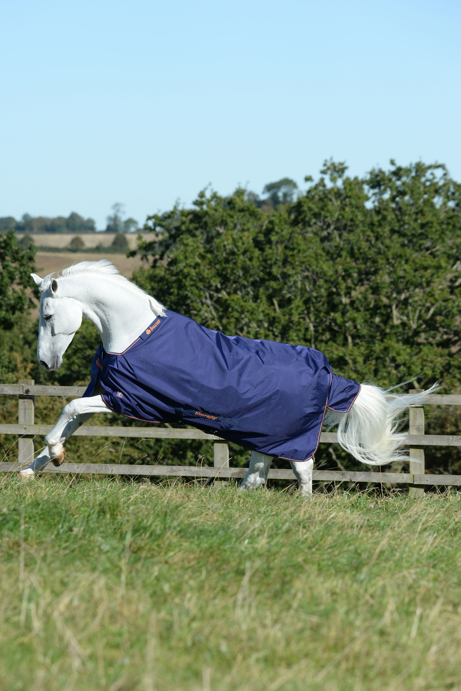 Bucas Therapy Turnout Rug, 150g