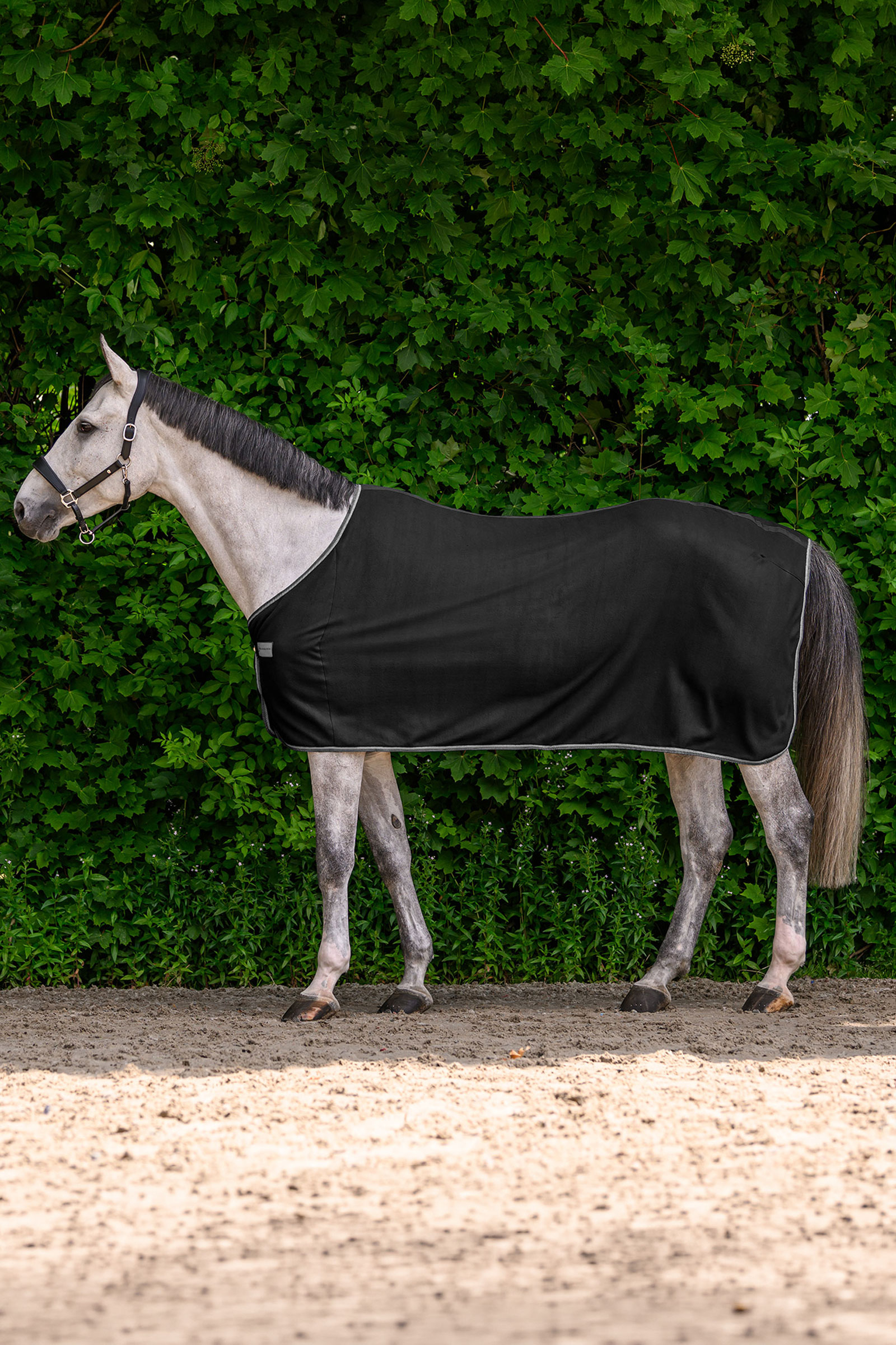 Waldhausen ECONOMIC Fleece Rug