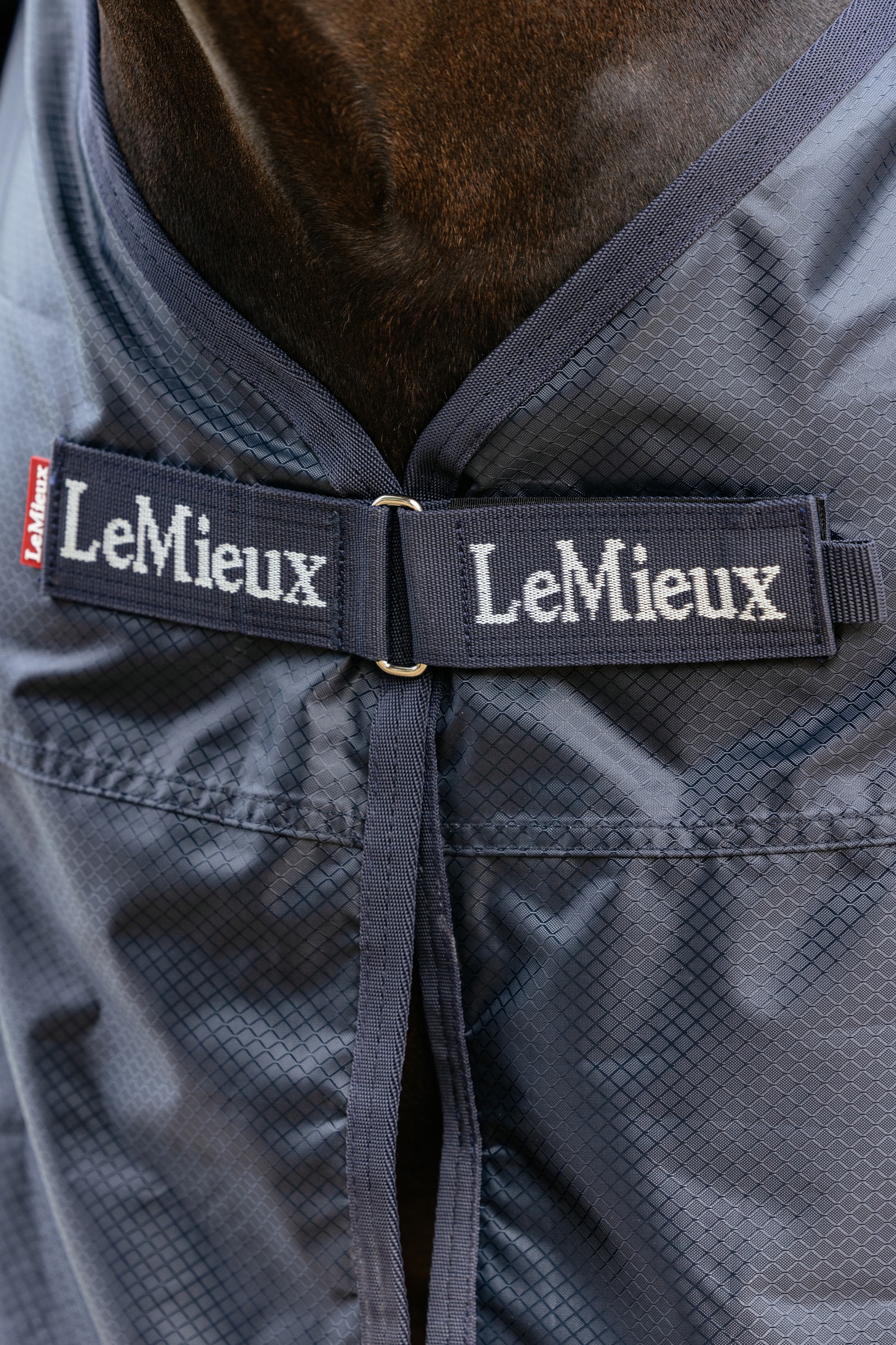LeMieux Exercise Rain Sheet With Fixed Neck