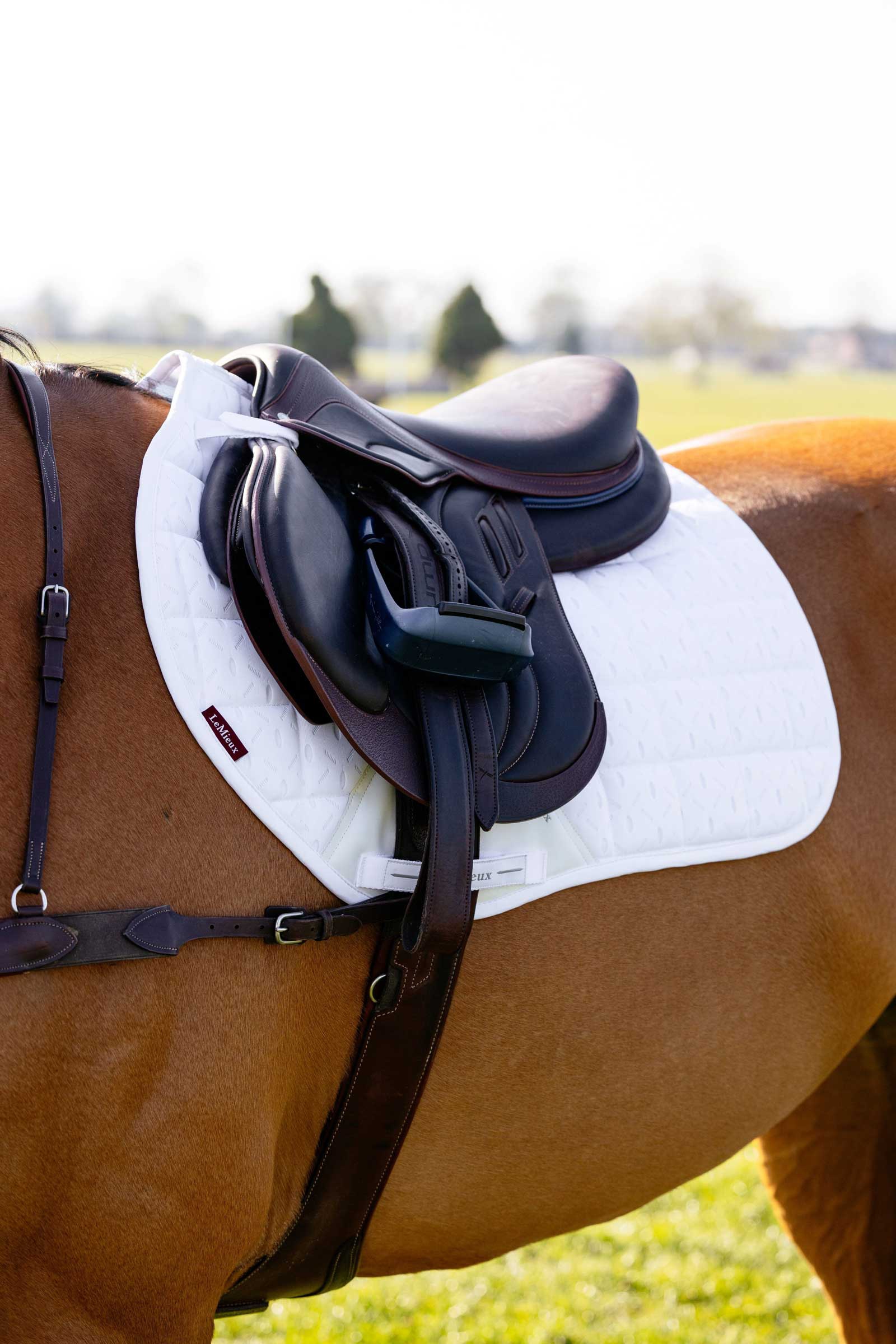 LeMieux 3D Mesh Self-Cool Eurojump Saddle Pad
