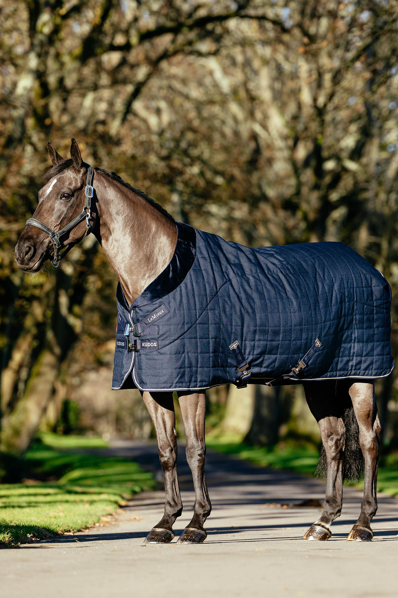 LeMieux Kudos Luxe Lined Stable Rug, 100 g