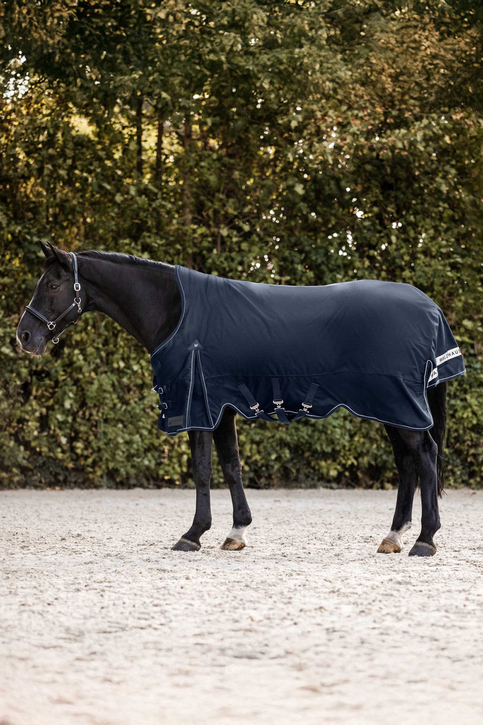 Night Blue Waldhausen Scandic Turnout Rug With High Neck, 200g