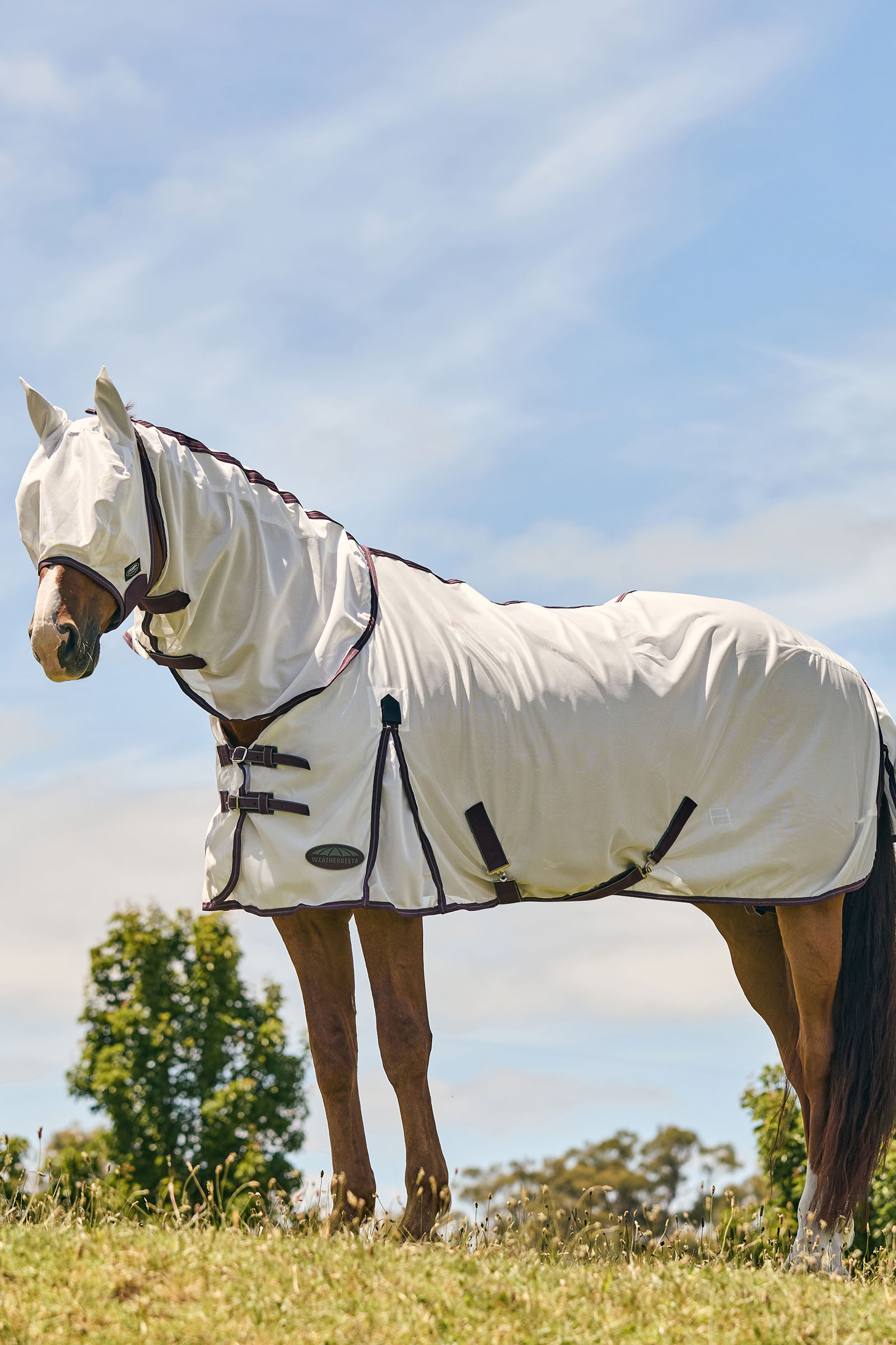 Weatherbeeta Comfitec Essential Mesh Mask