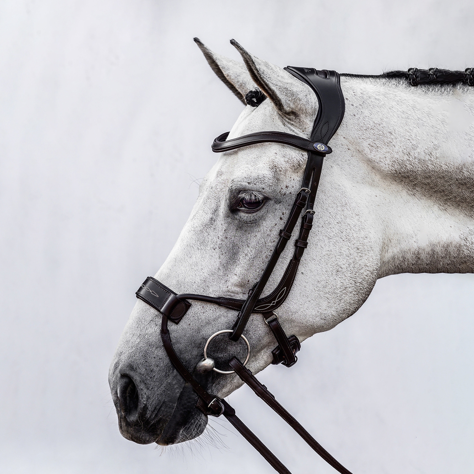 PS of Sweden High Jump Bridle