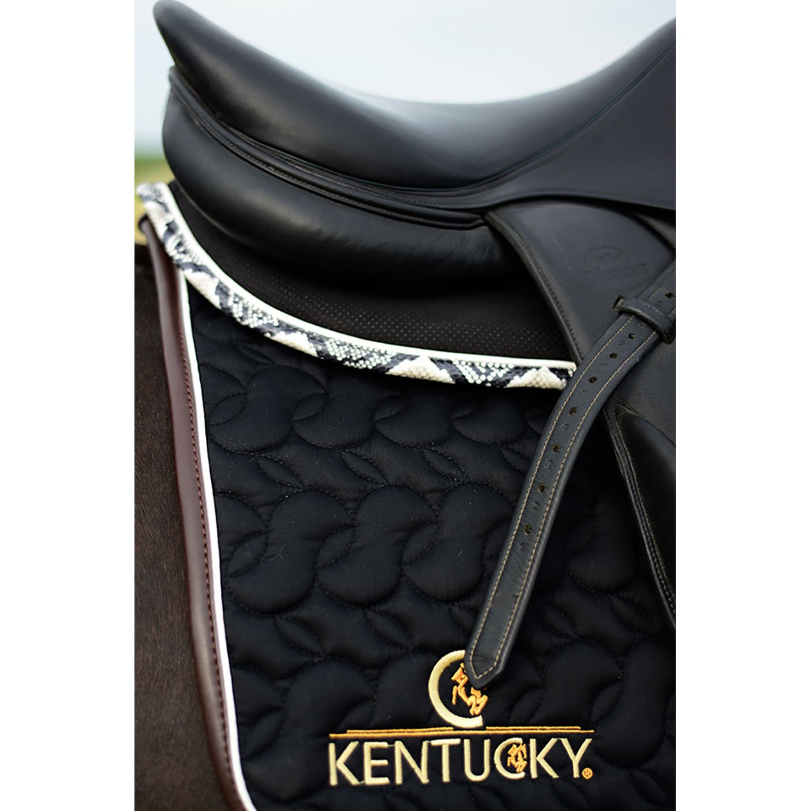 Kentucky Horsewear Saddle Pad Absorb