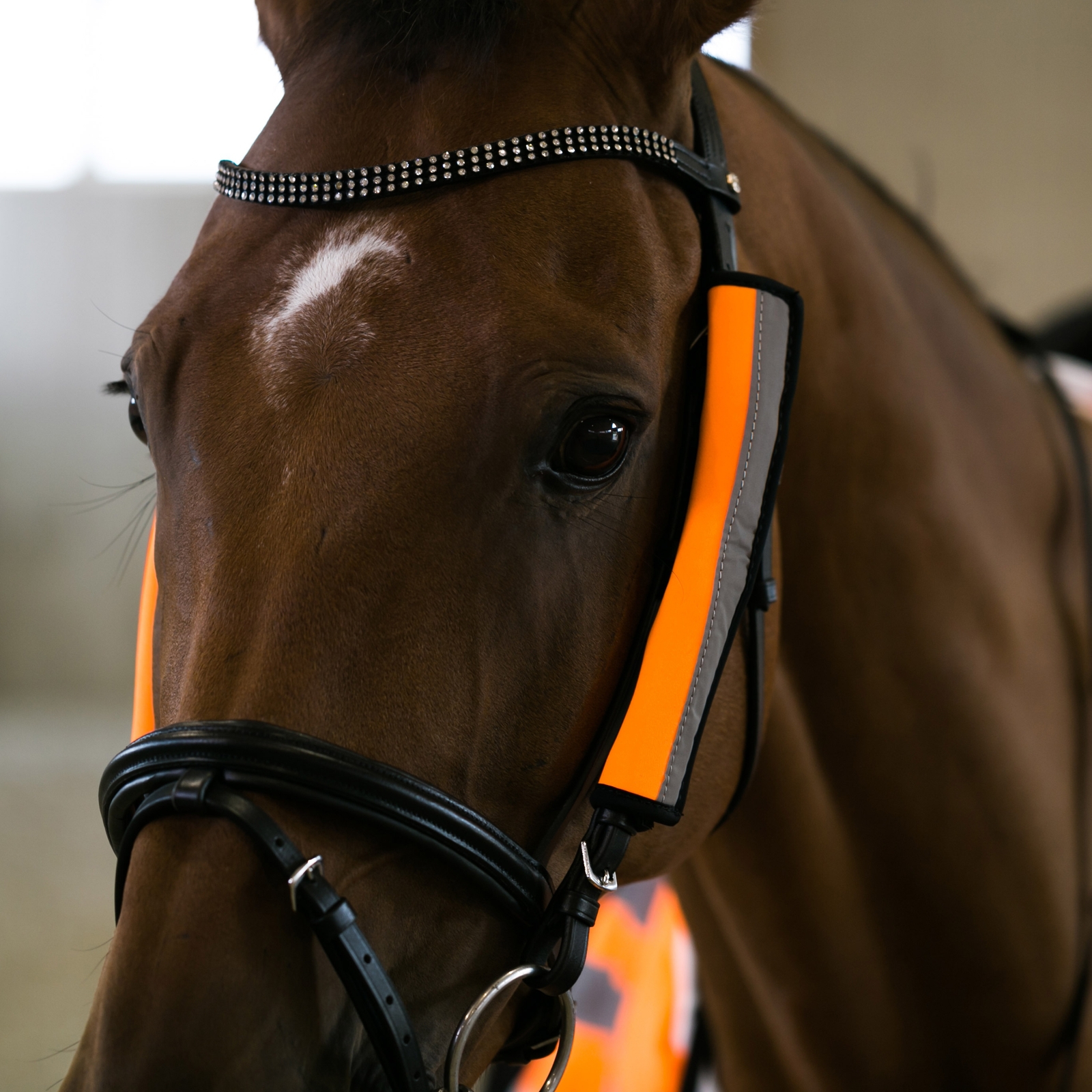 bZeen Reflective Bridle Covers with Neoprene