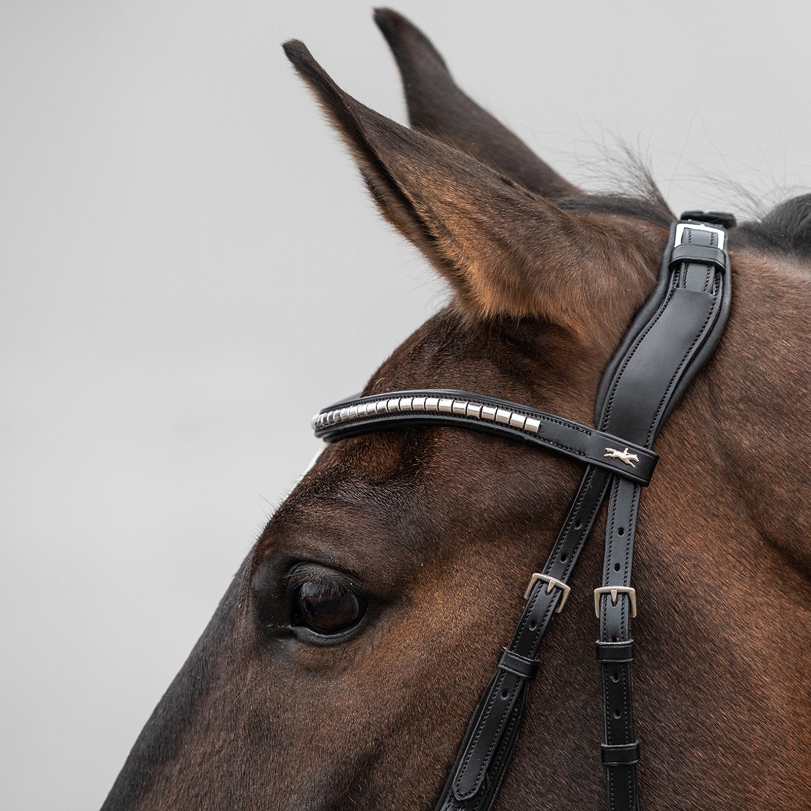 Schockemöhle Sports Equitus Rho Headpiece