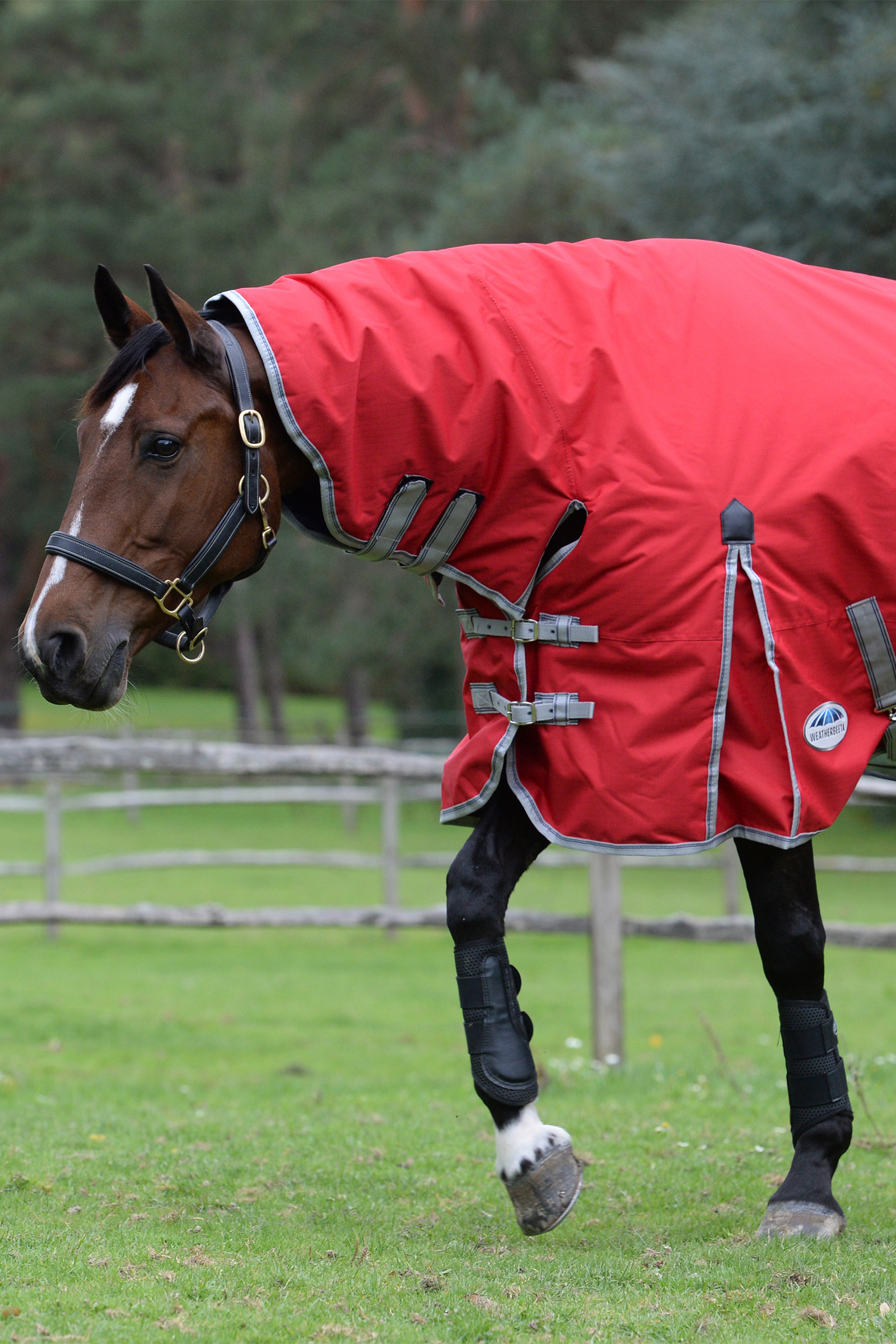 Weatherbeeta Comfitec Classic Combo Neck Lite Plus