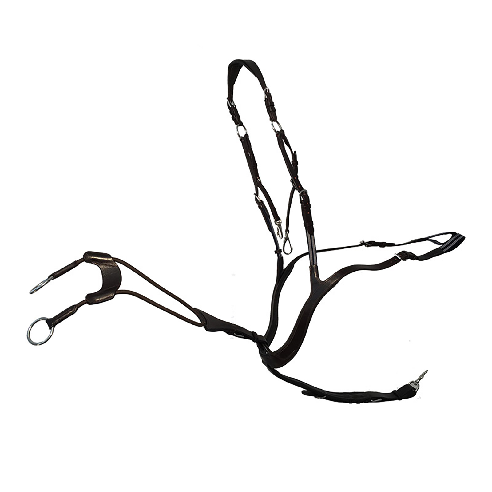 Kavalkade Breastplate Caya 5-point, anatomical