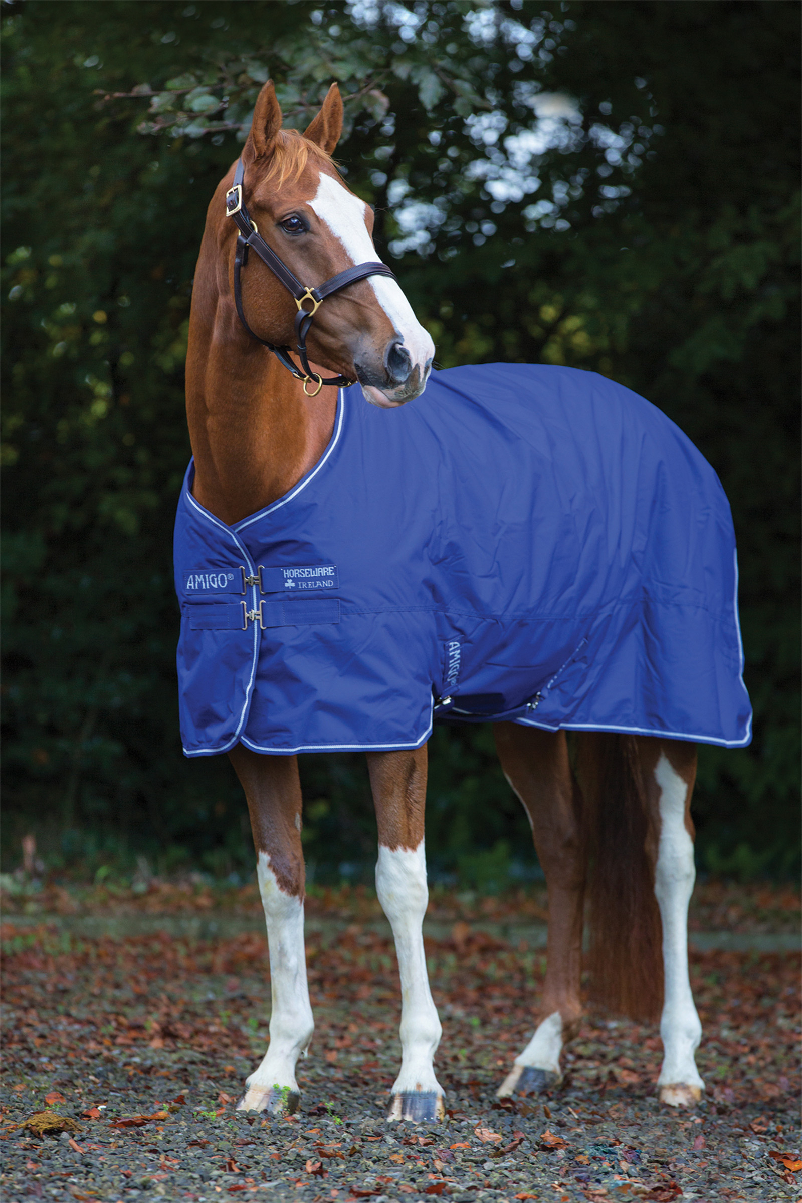 Horseware Amigo Hero 900 Plus Medium Turnout Rug, 200g