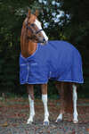 Horseware Amigo Hero 900 Plus Medium Turnout Rug, 200g