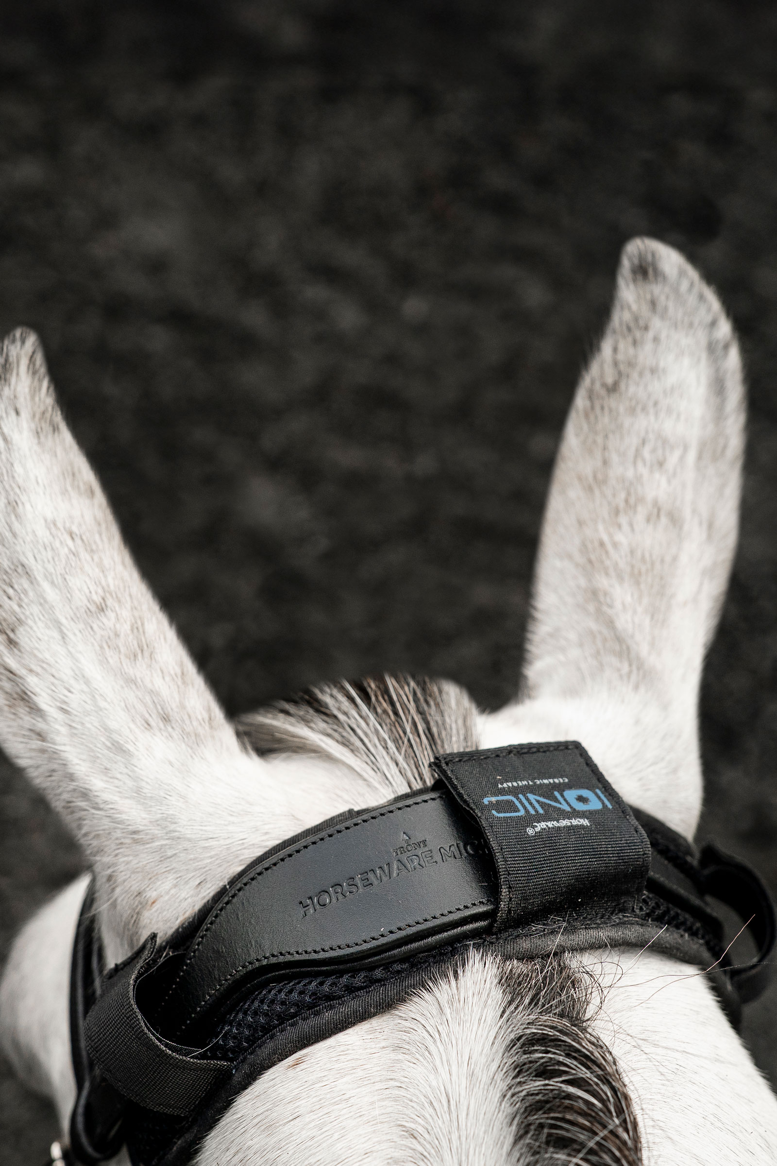 Horseware Ionic Poll Cover