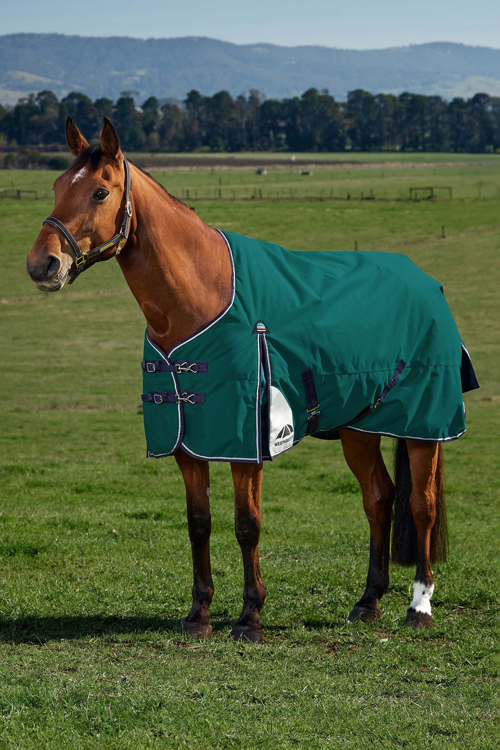 Forest Green/Navy Weatherbeeta ComFiTecPlus Dynamic Turnout Rug, 0 g