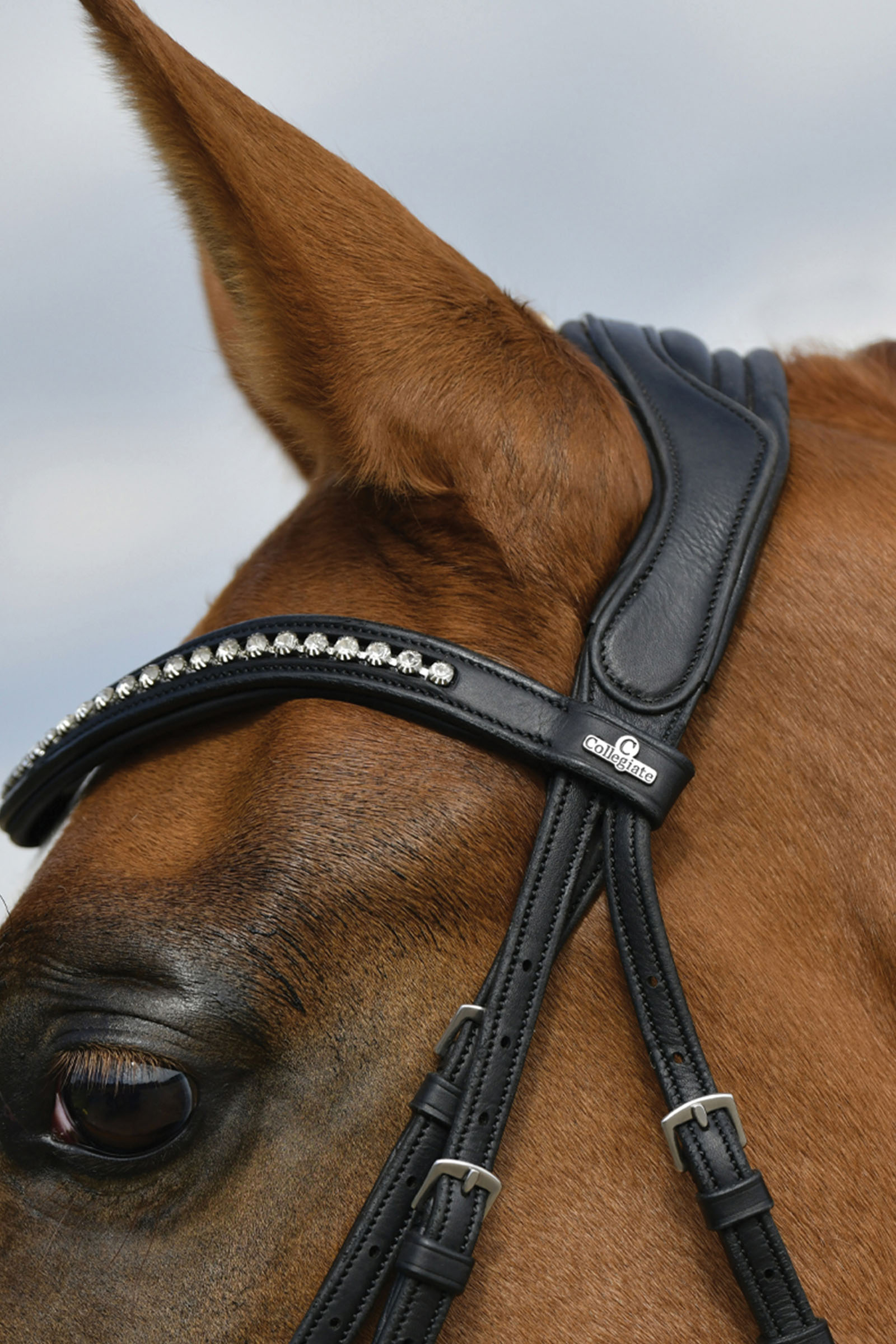 Collegiate Comfitec Opulux Padded Dressage Bridle