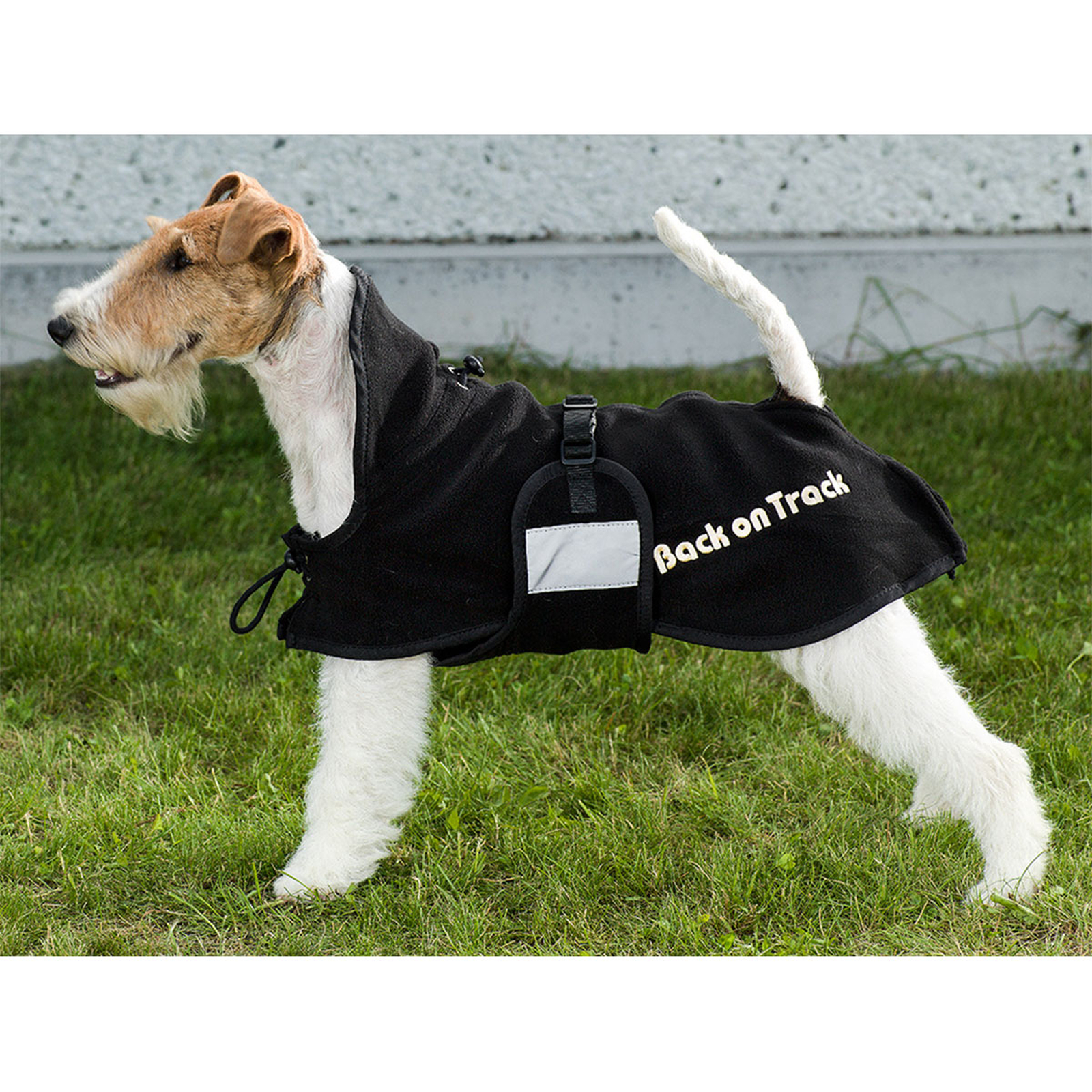 Back on Track Dog Rug Fleece, 21-34