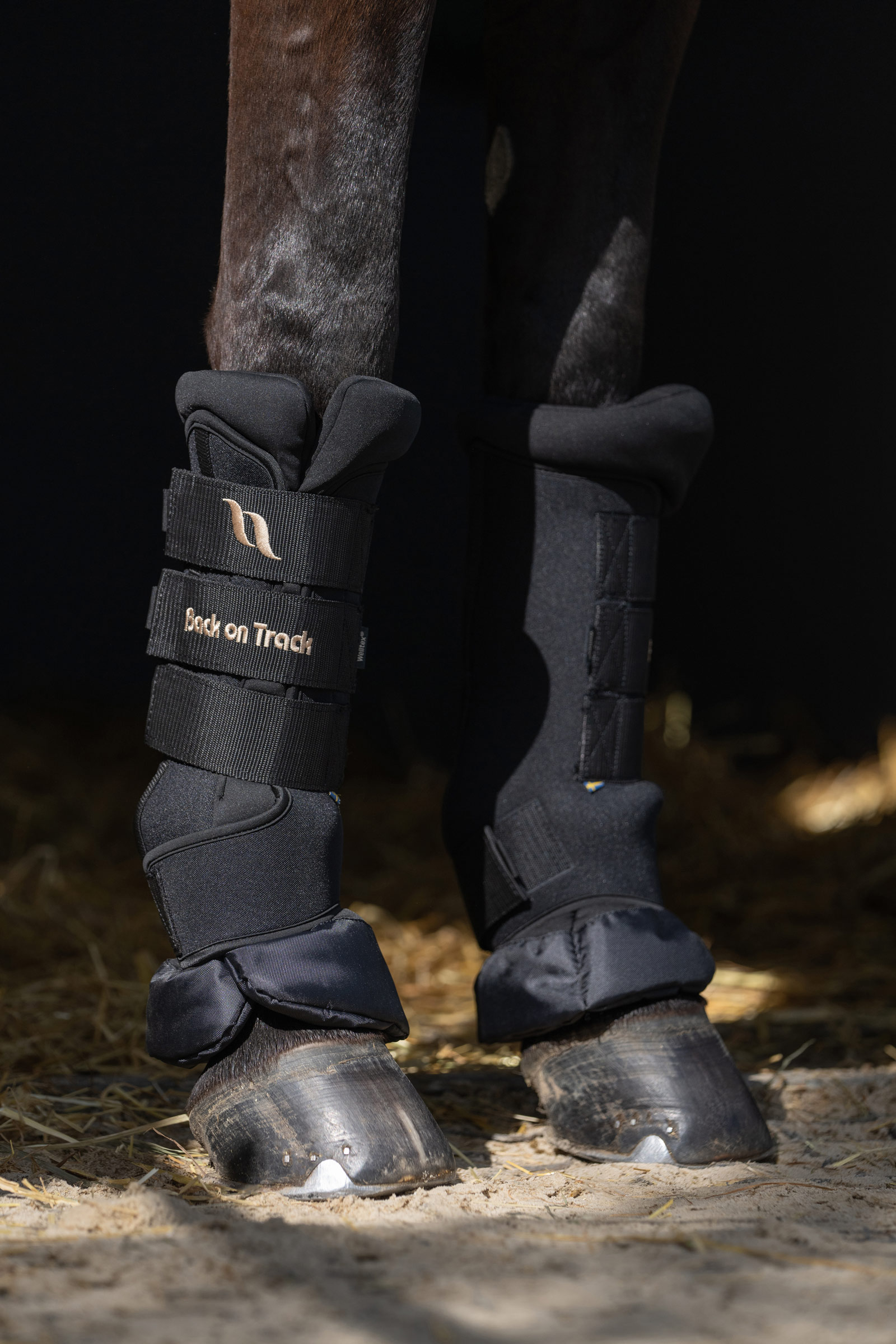 Back On Track Quick Royal Leg Wraps